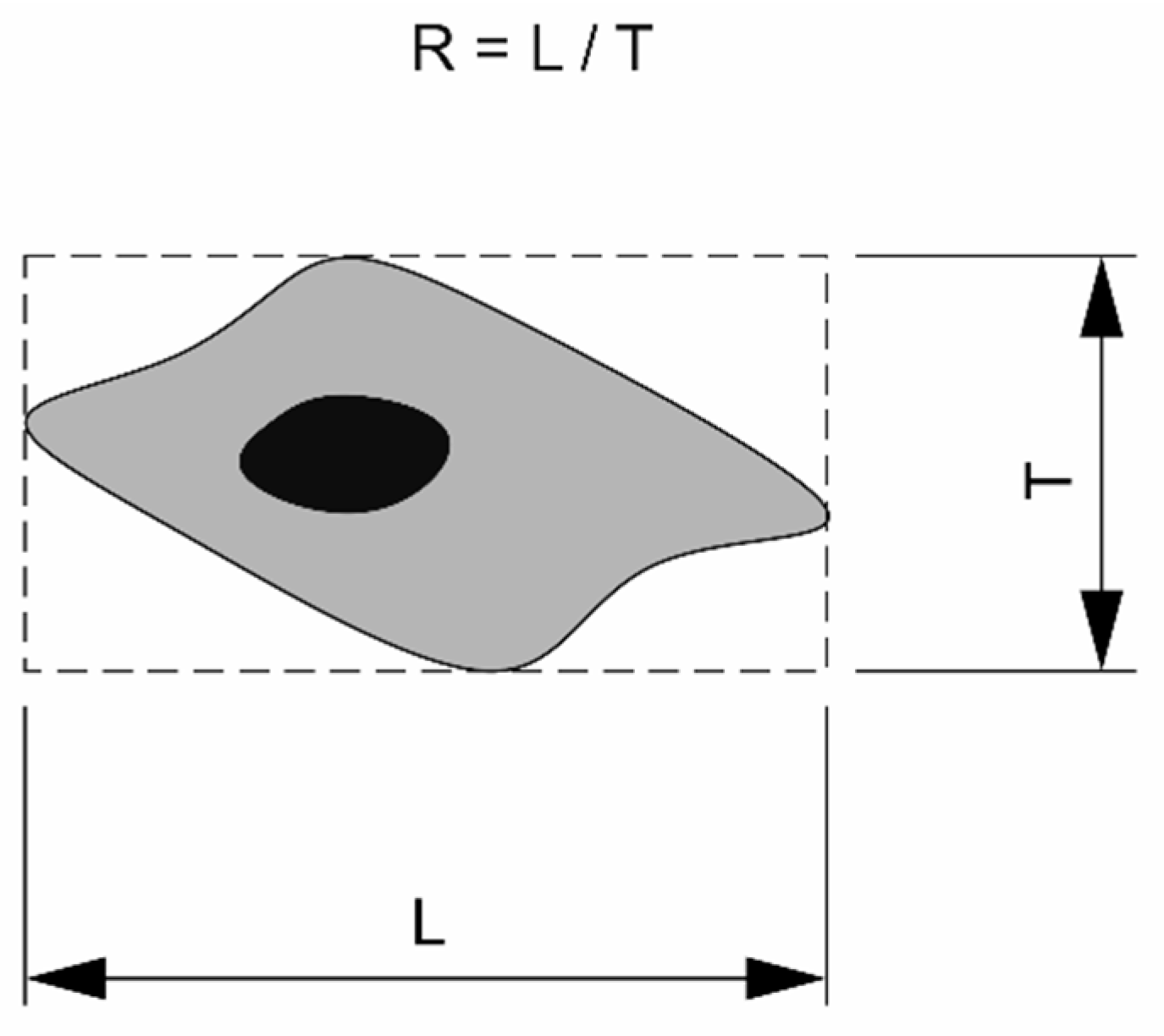 Molecules 26 01256 g022 Molecules 26 01256 g022