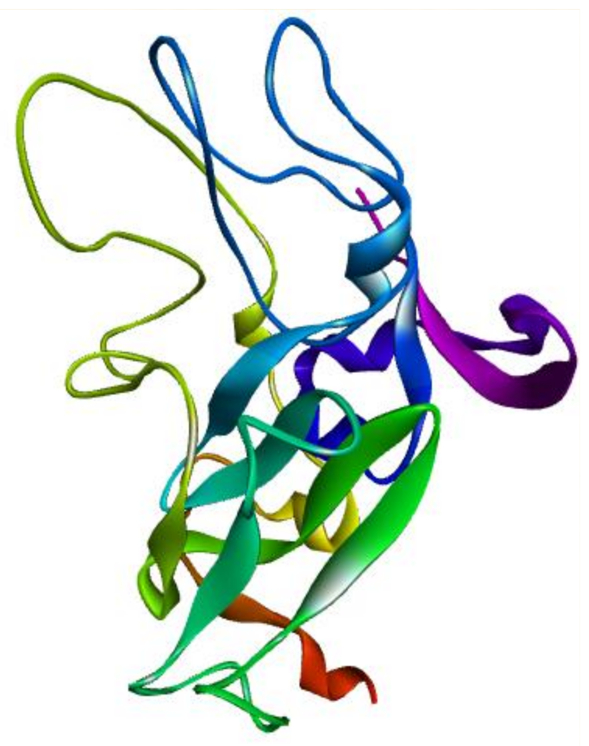 Molecules 26 01257 g004
