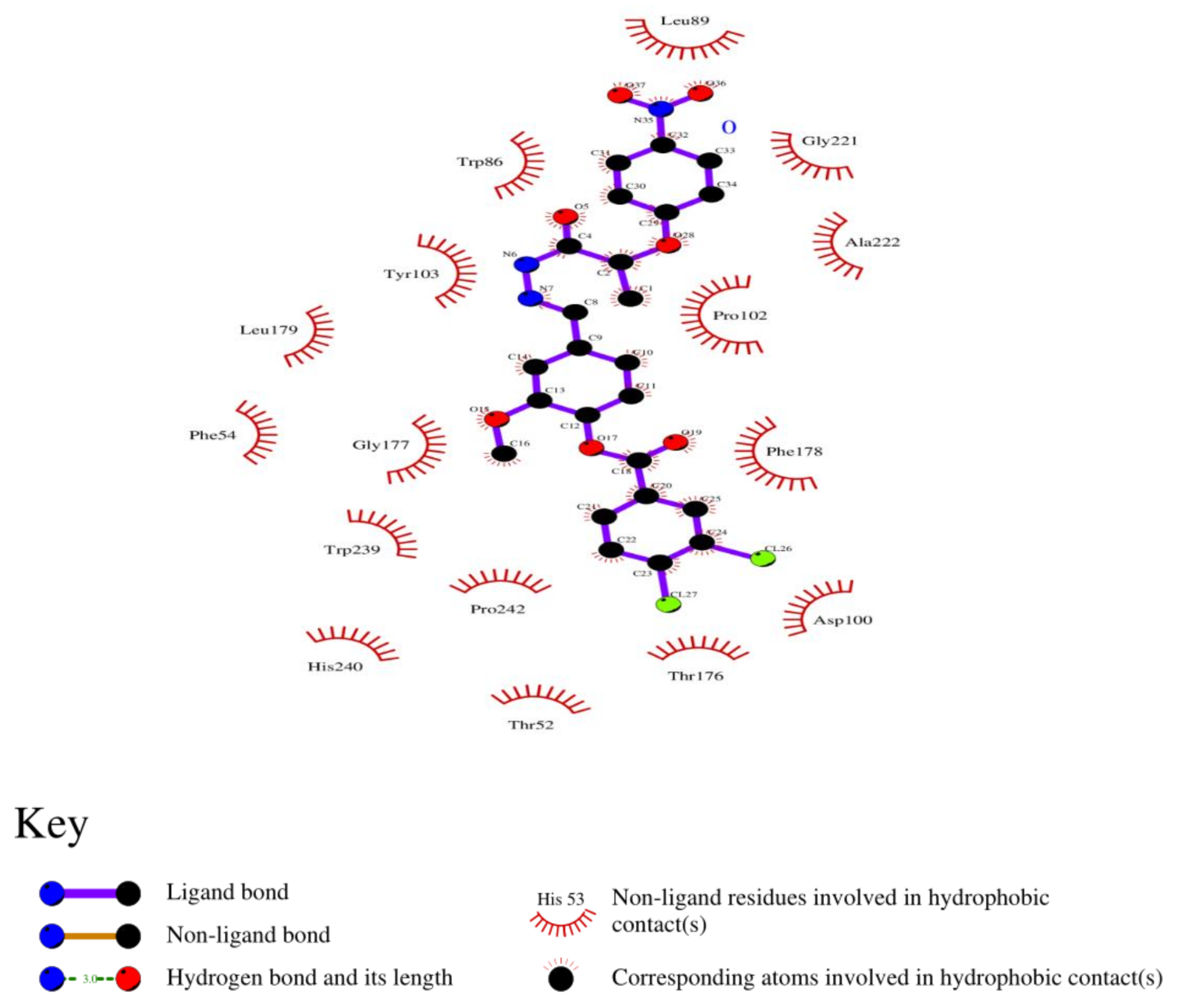 Molecules 26 01257 g006