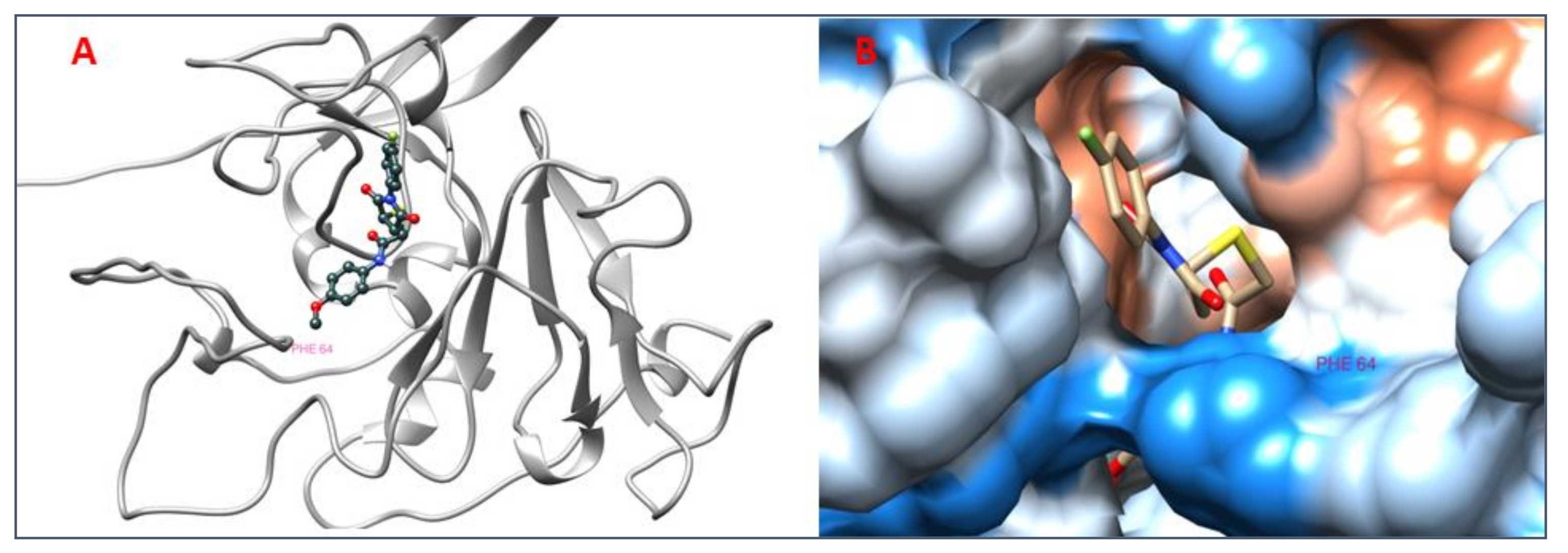 Molecules 26 01257 g009