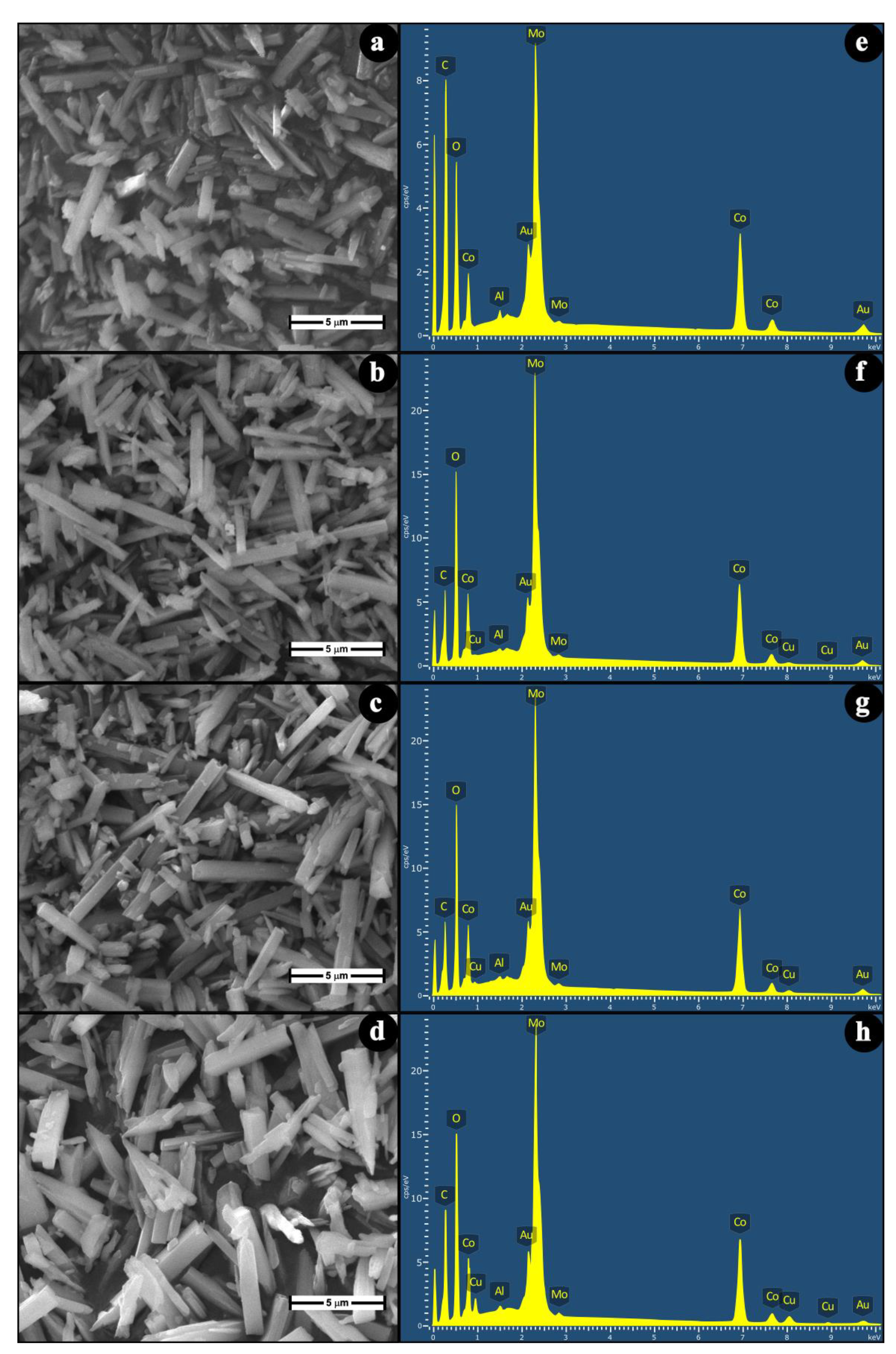 Molecules 26 01267 g004 Molecules 26 01267 g004