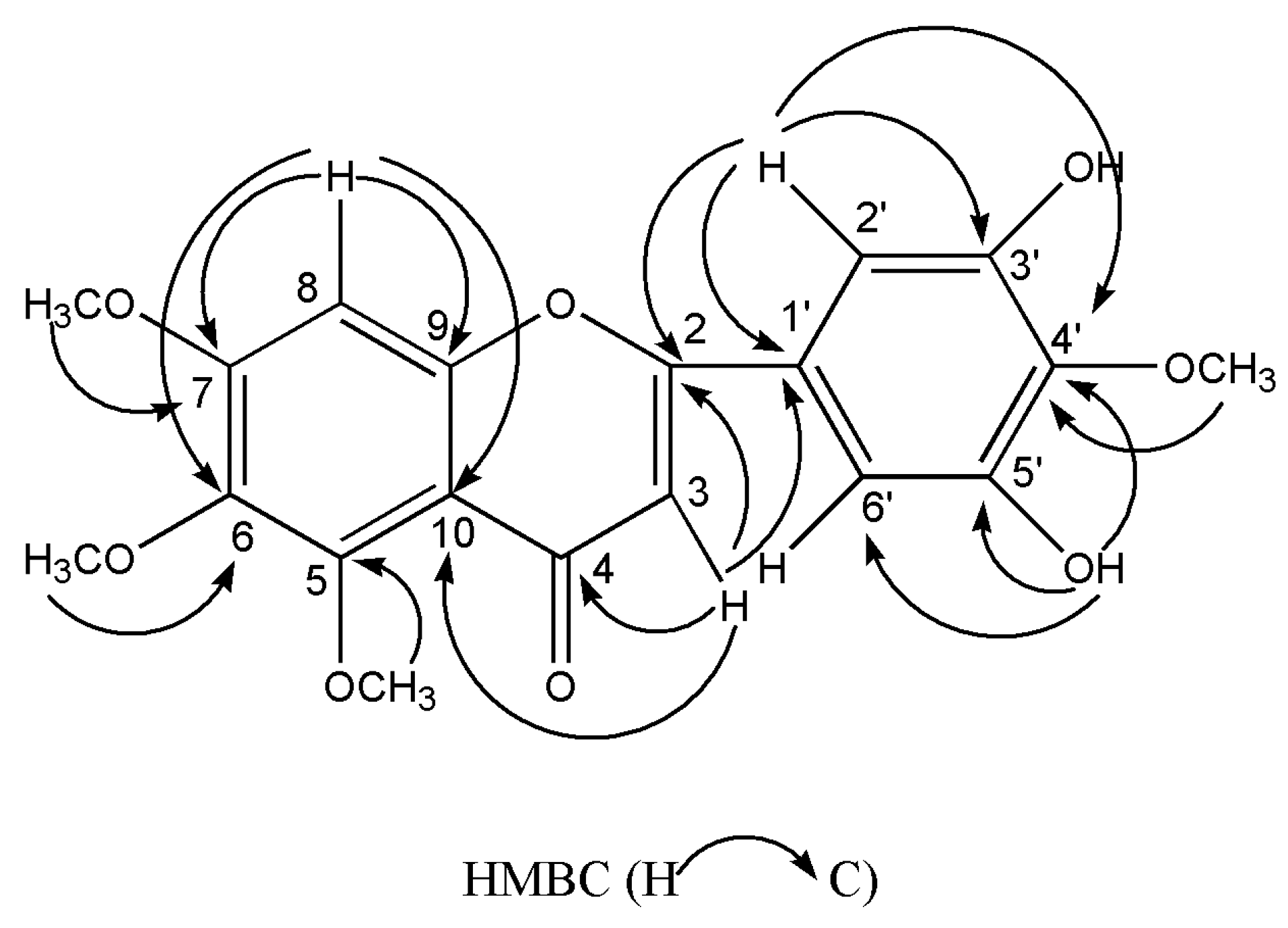 Molecules 26 01284 g002 Molecules 26 01284 g002