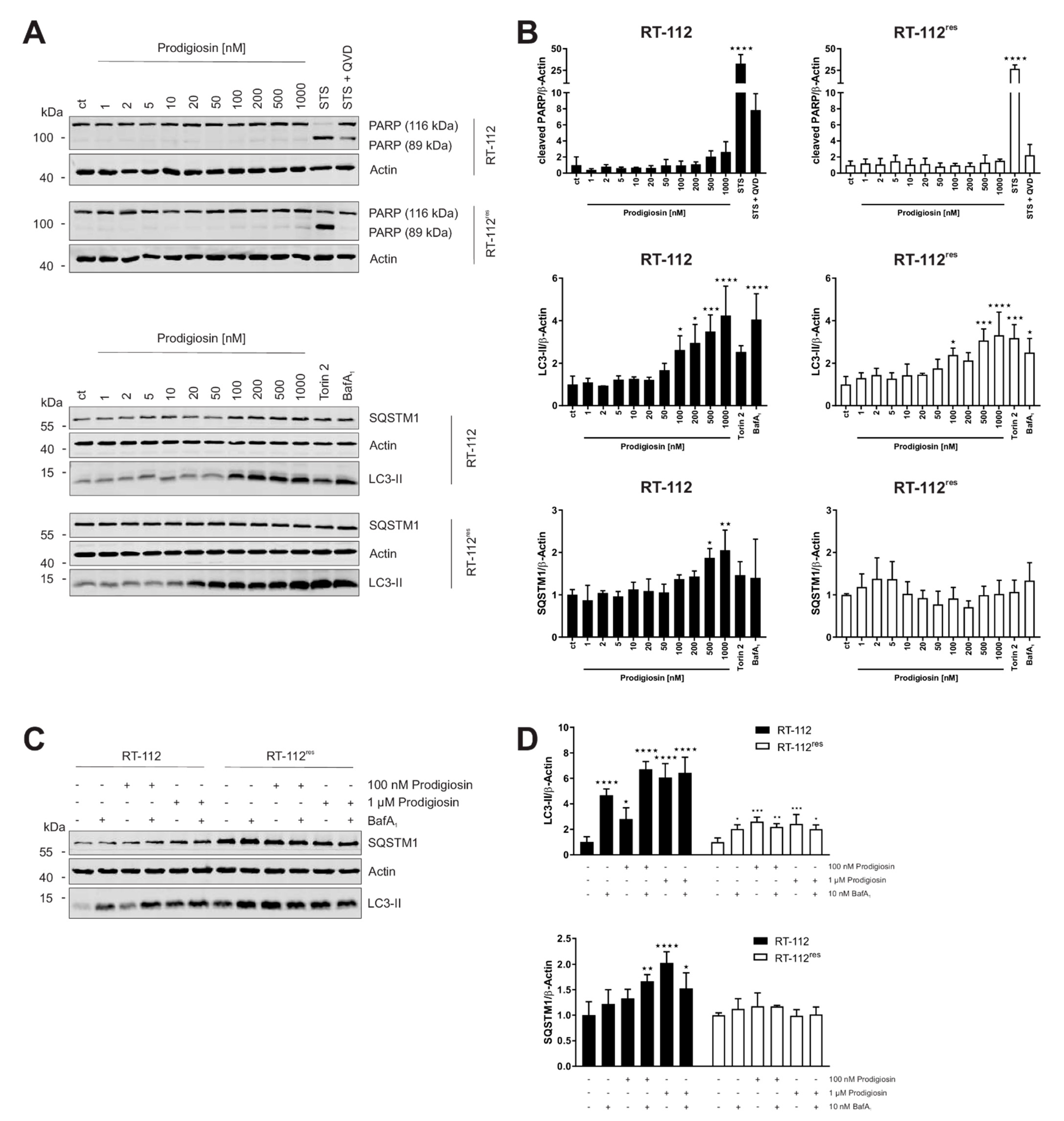Molecules 26 01294 g003