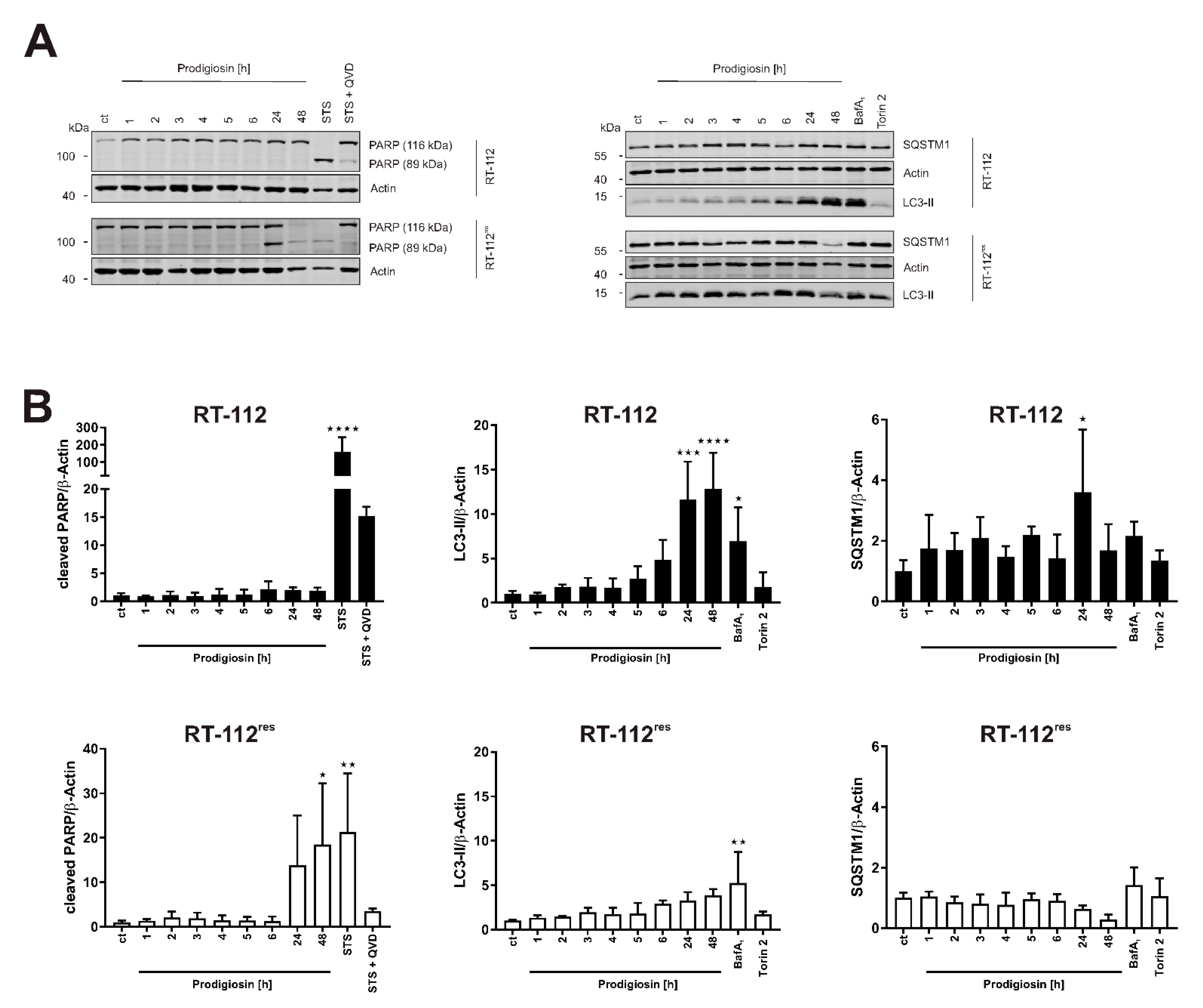 Molecules 26 01294 g004