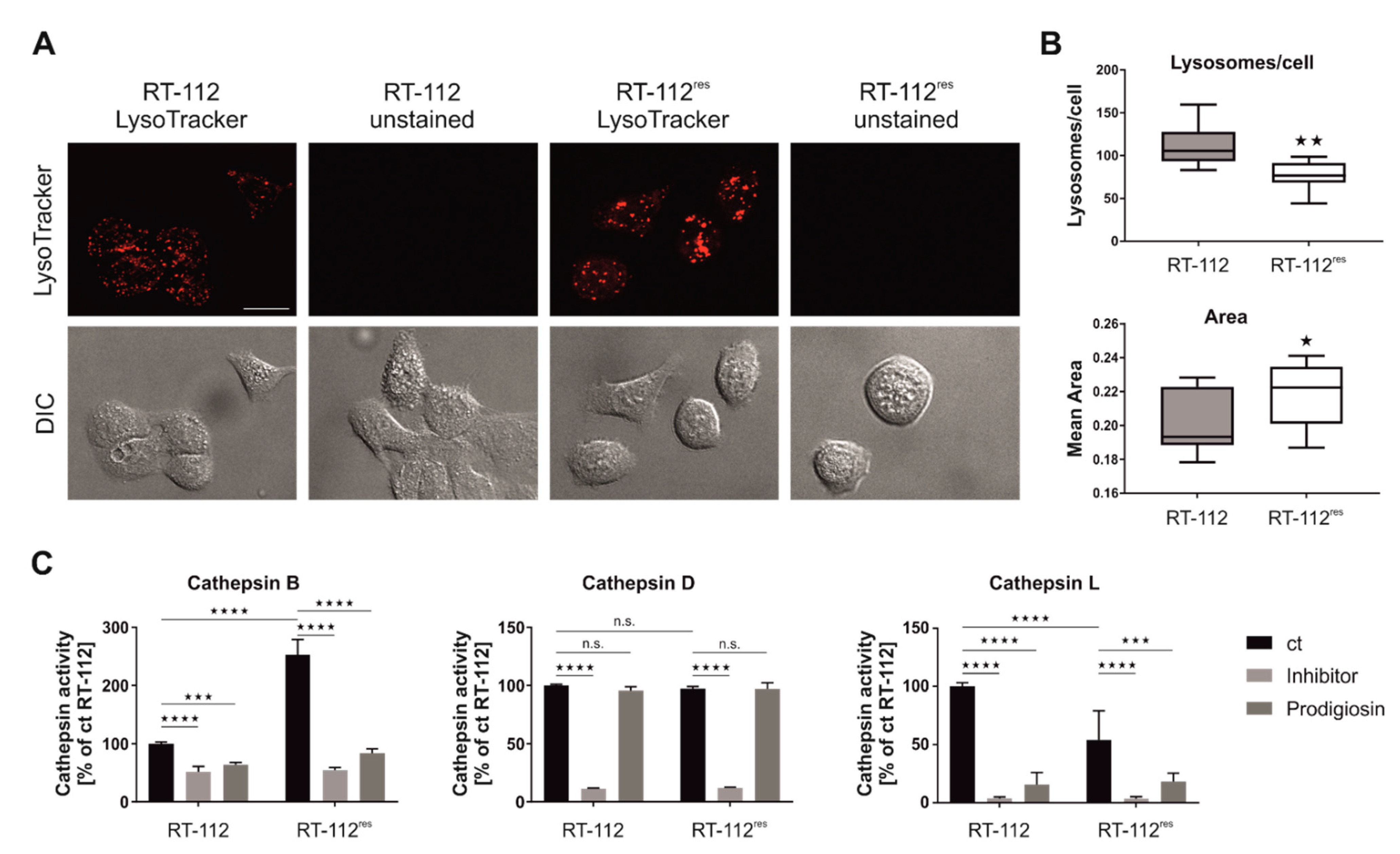 Molecules 26 01294 g007