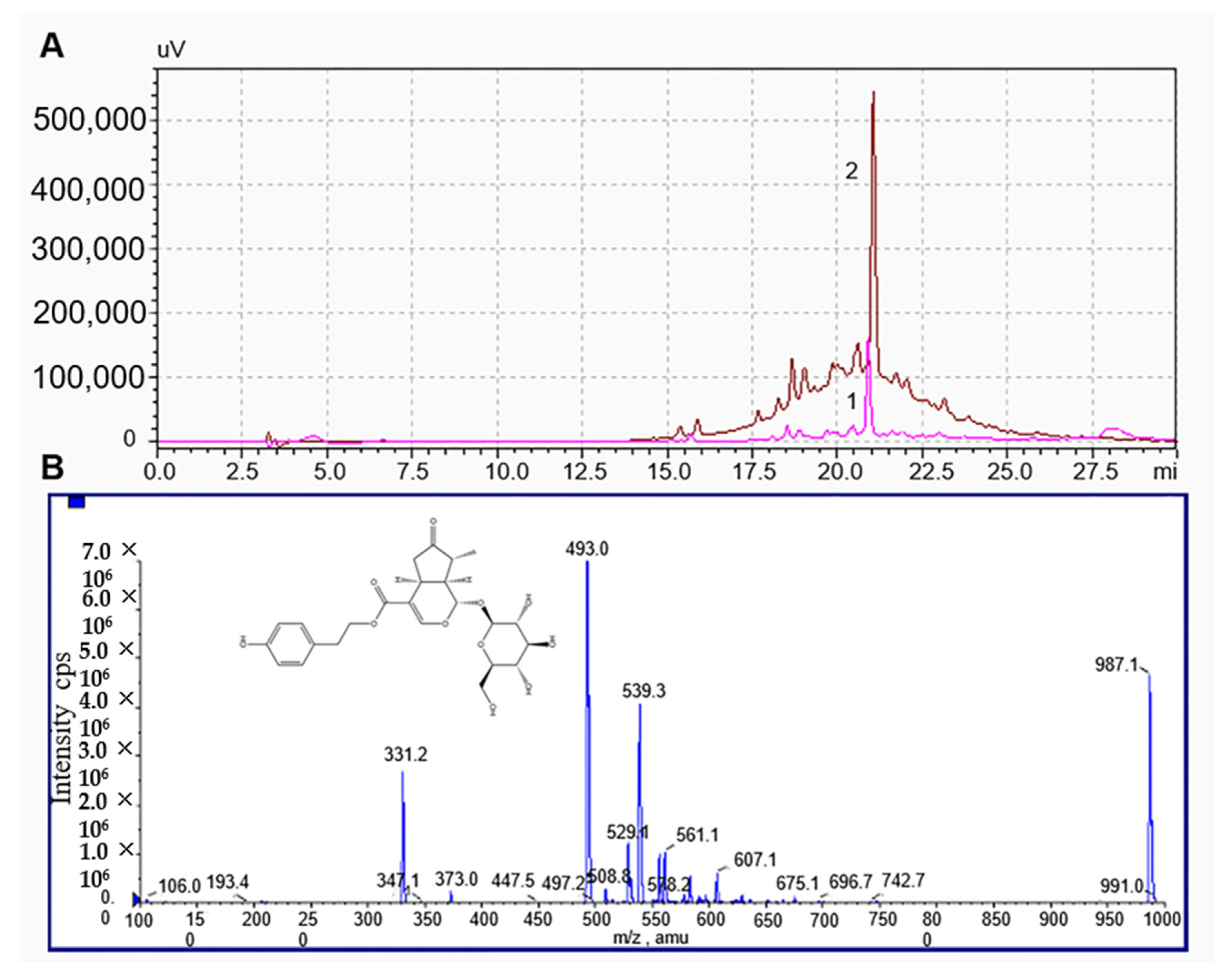 Molecules 26 01295 g005 Molecules 26 01295 g005