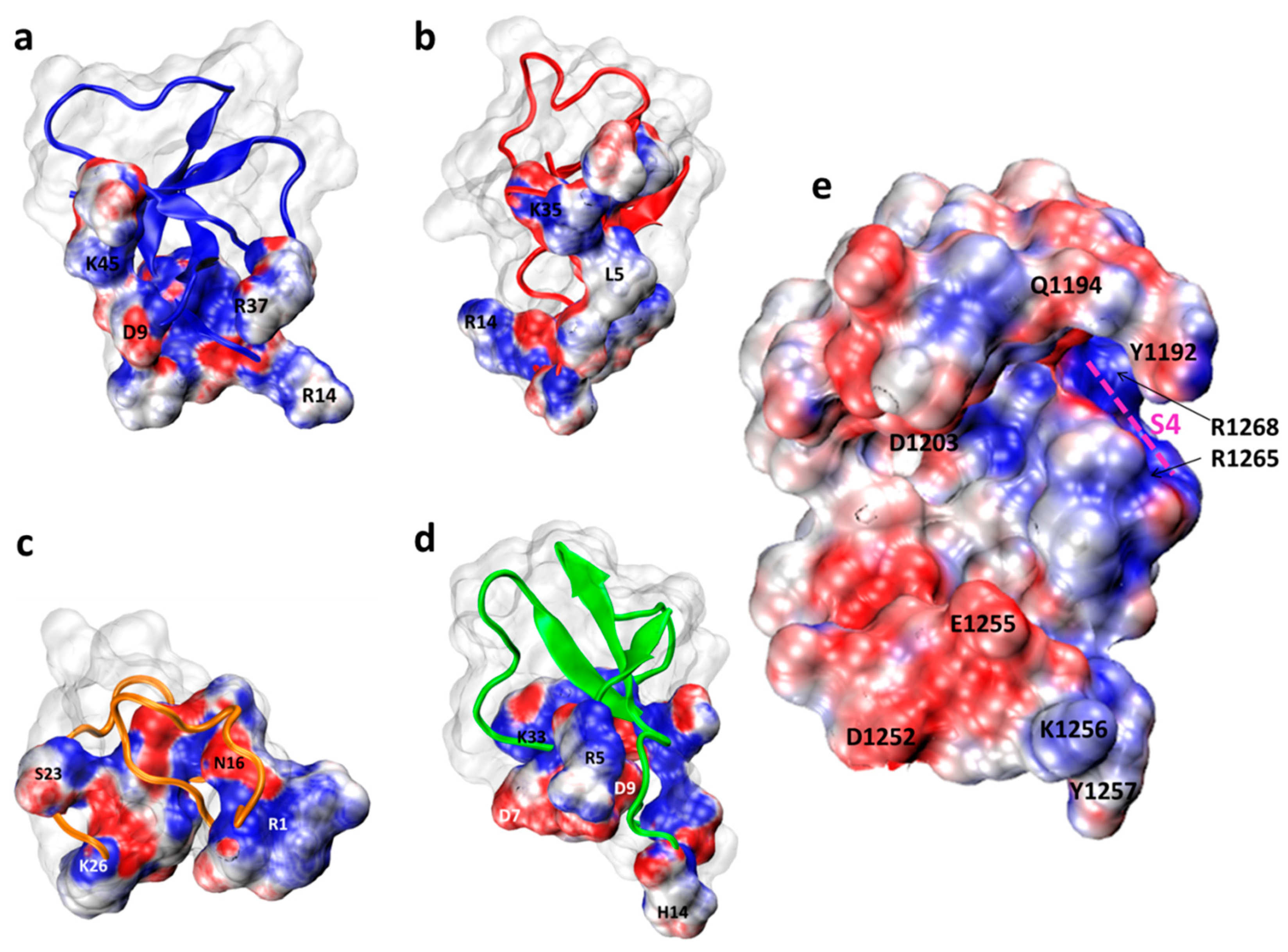 Molecules 26 01302 g004 Molecules 26 01302 g004