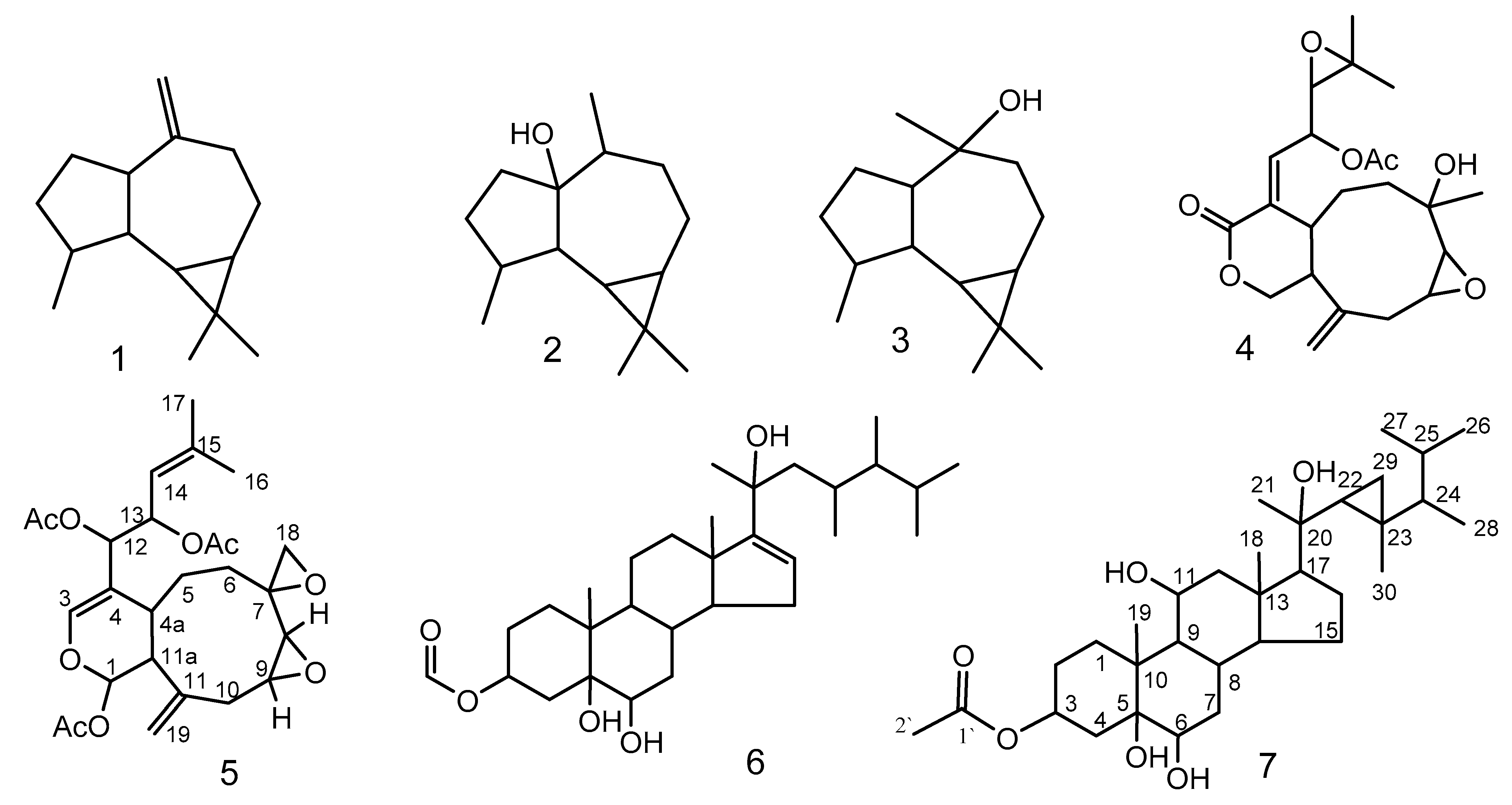 Molecules 26 01311 g001 Molecules 26 01311 g001