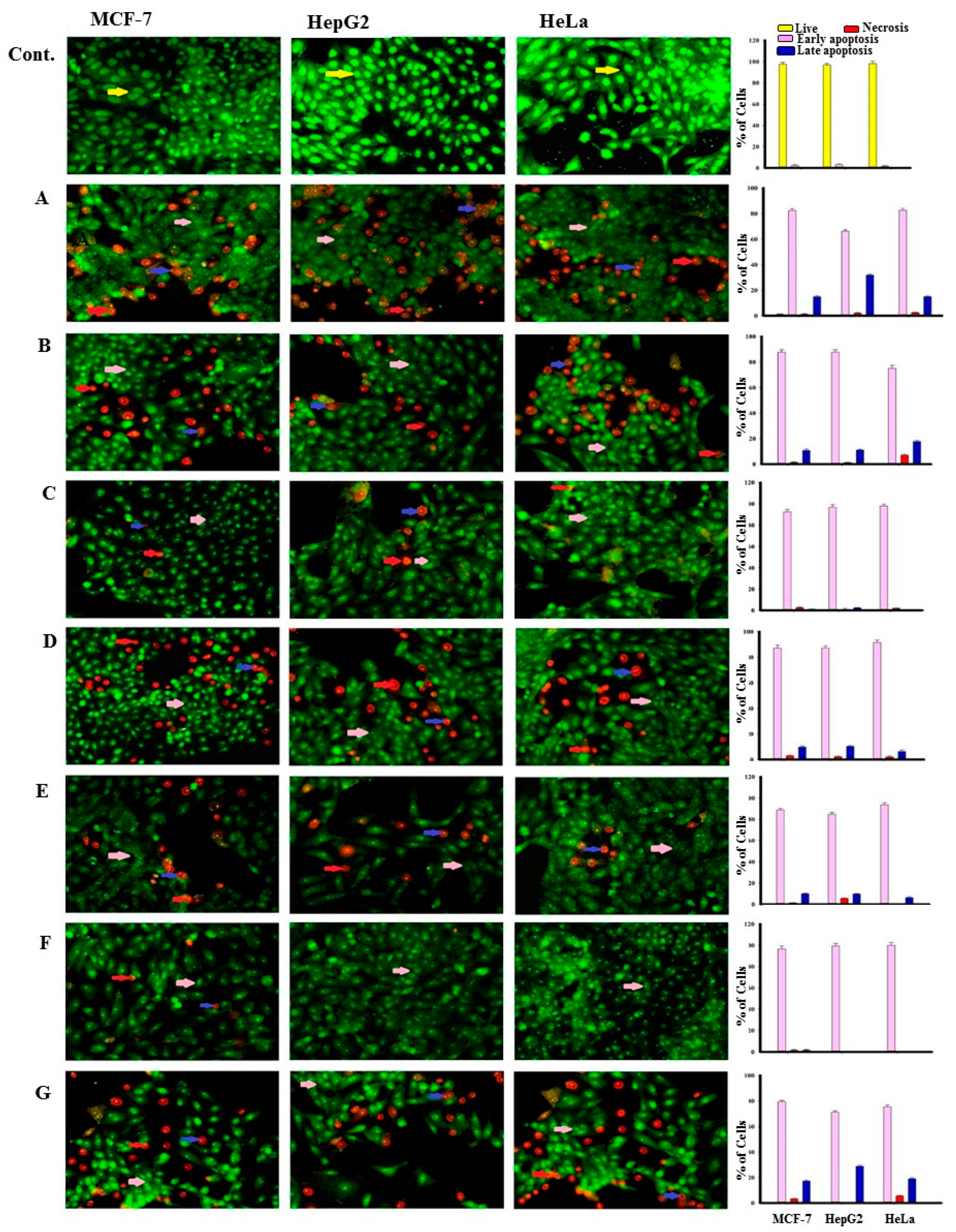 Molecules 26 01311 g002 Molecules 26 01311 g002