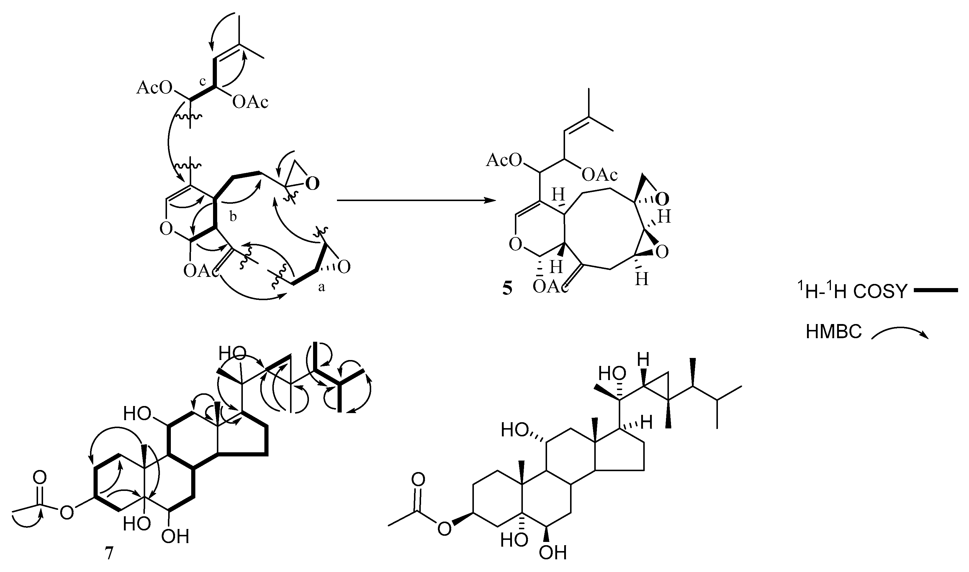 Molecules 26 01311 g003 Molecules 26 01311 g003