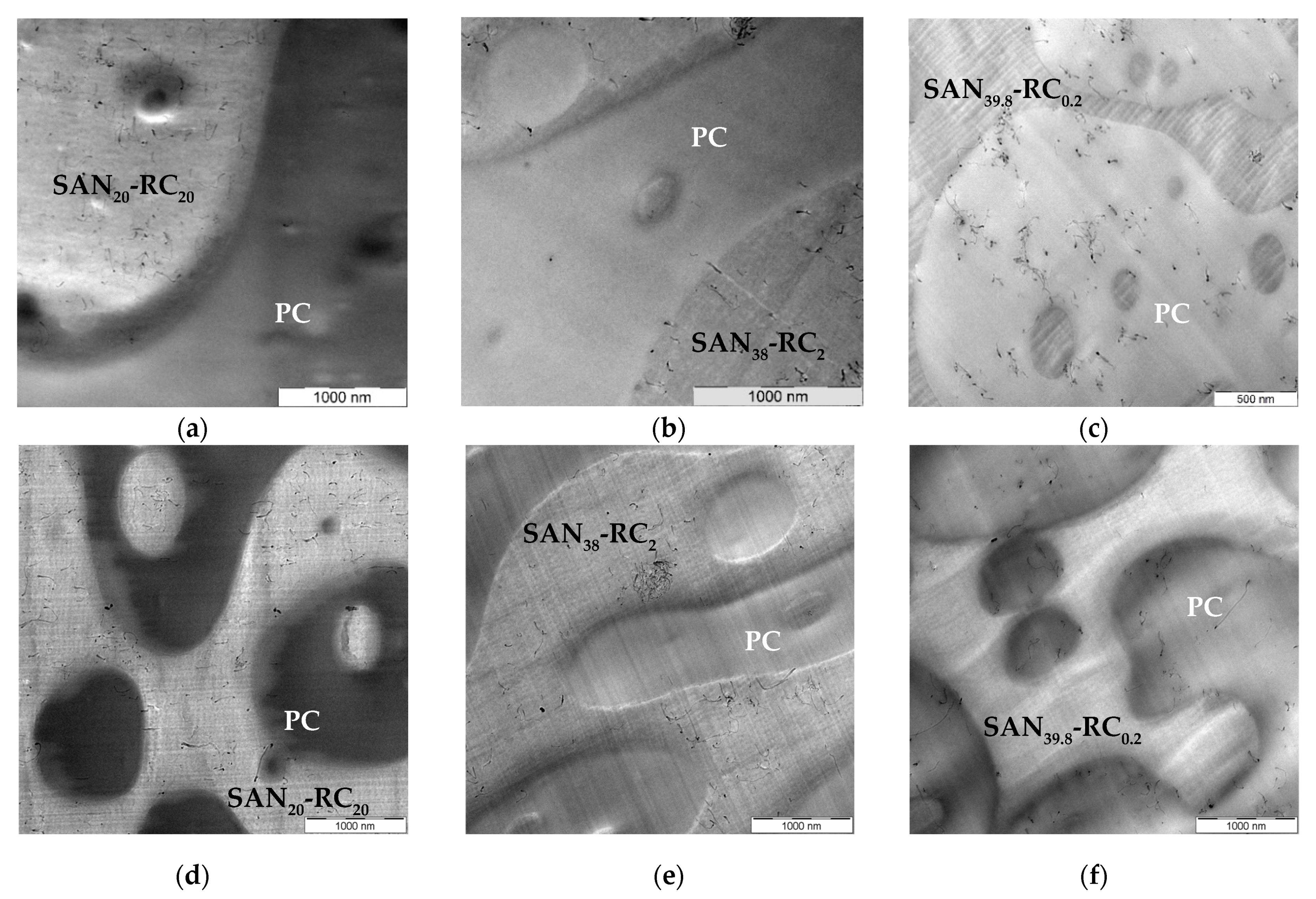 Molecules 26 01312 g001