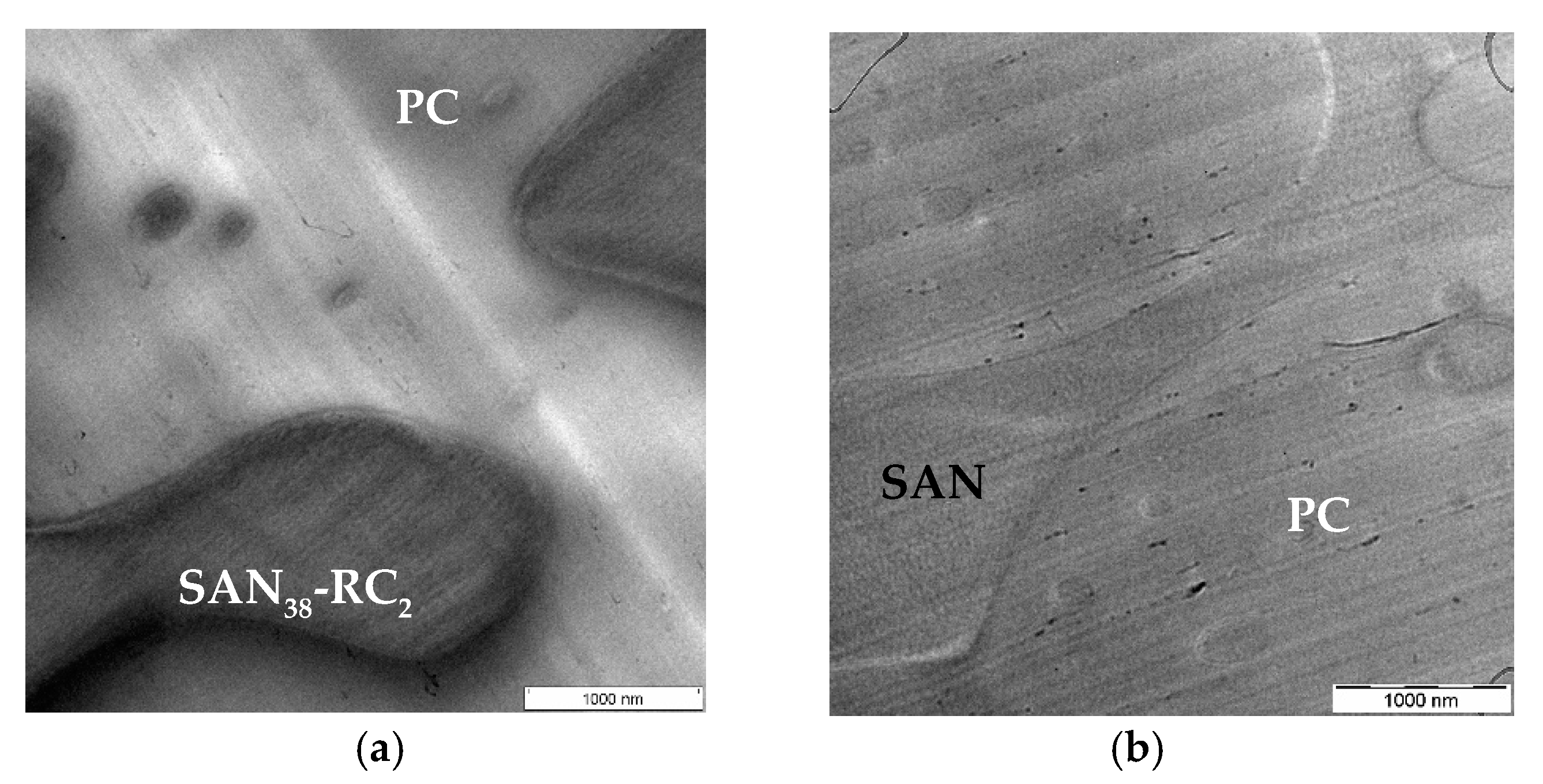 Molecules 26 01312 g004