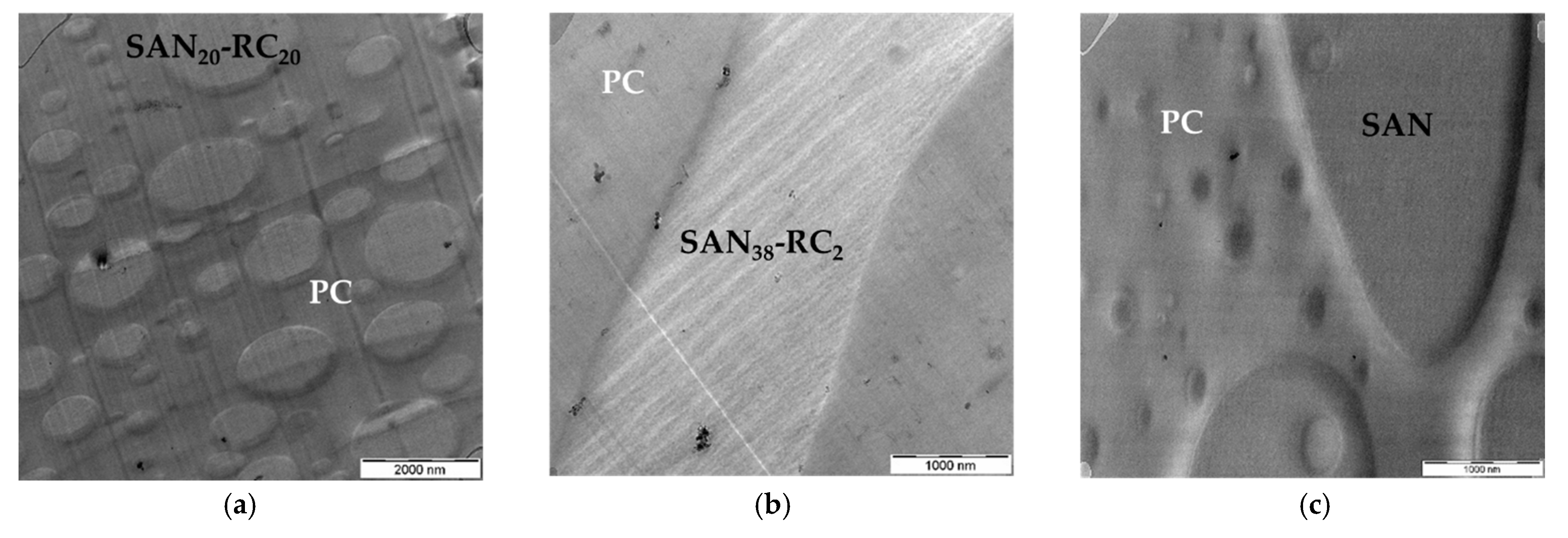 Molecules 26 01312 g005