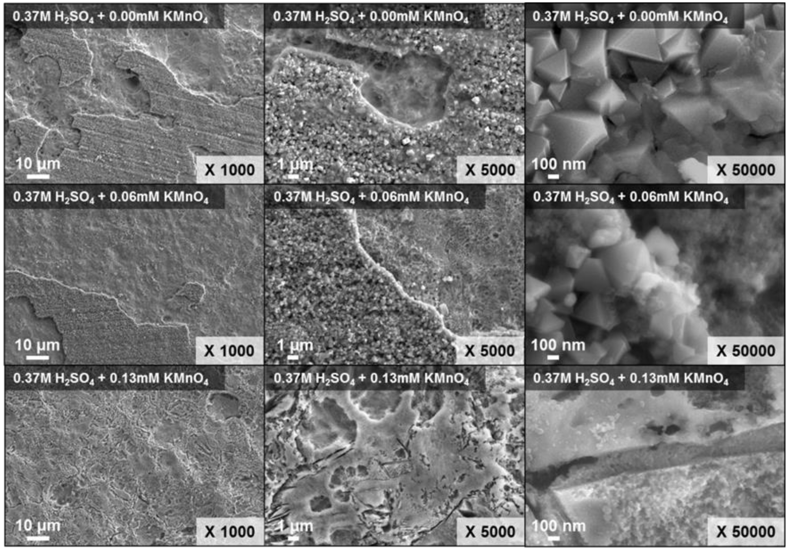 Molecules 26 01329 g009 Molecules 26 01329 g009