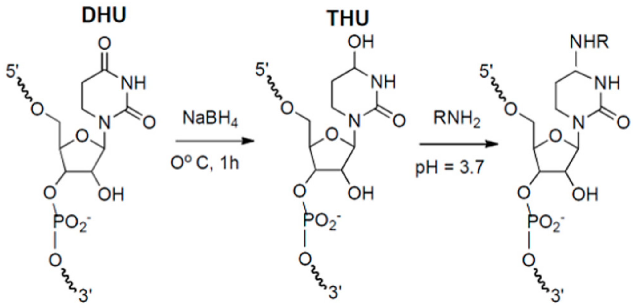 Molecules 26 01341 g002