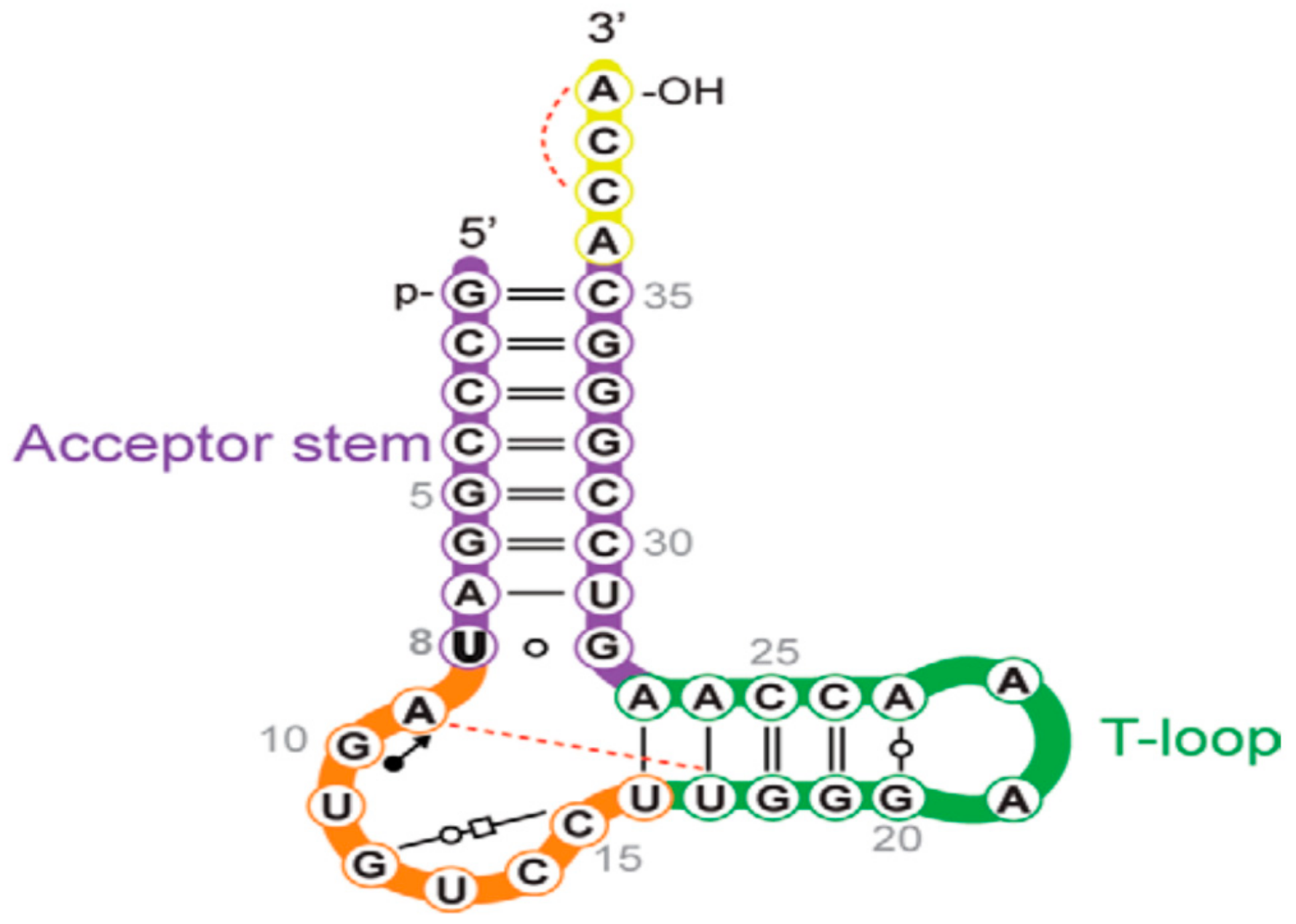 Molecules 26 01341 g003
