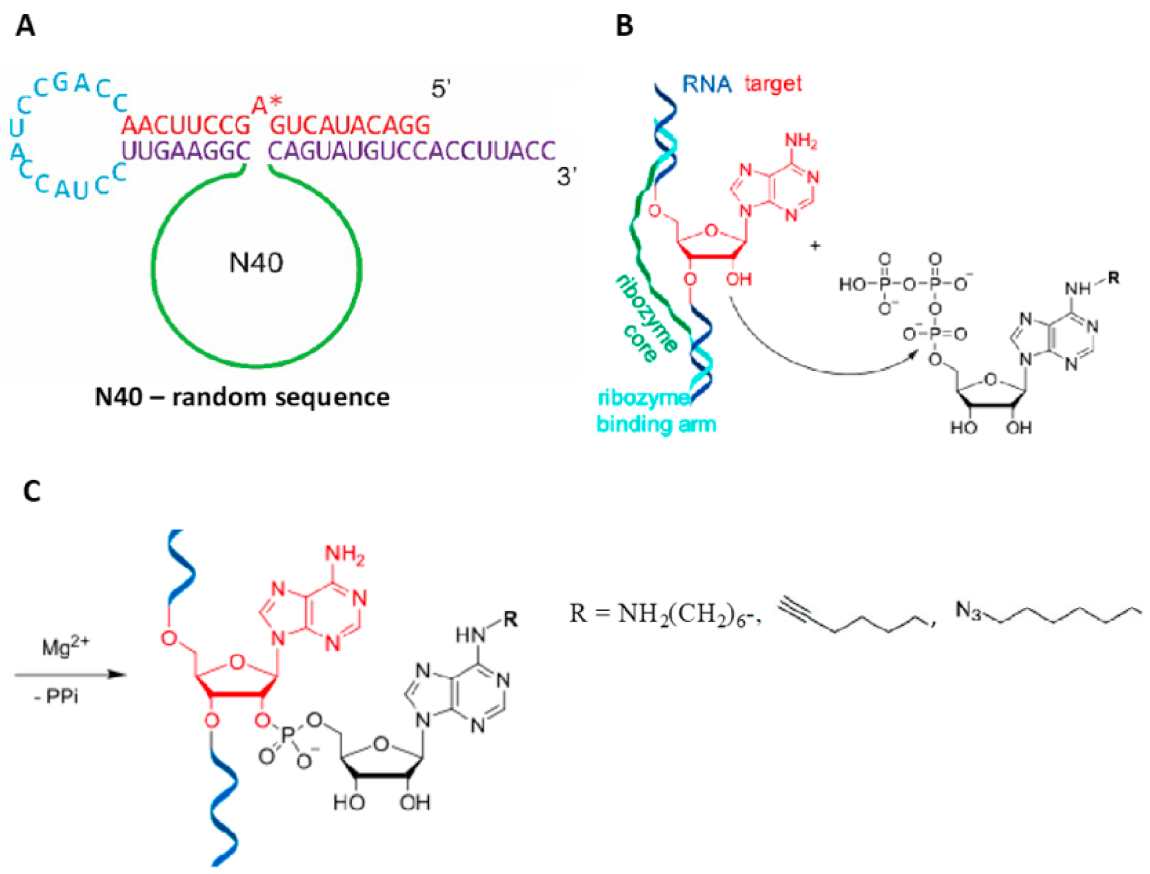 Molecules 26 01341 g007