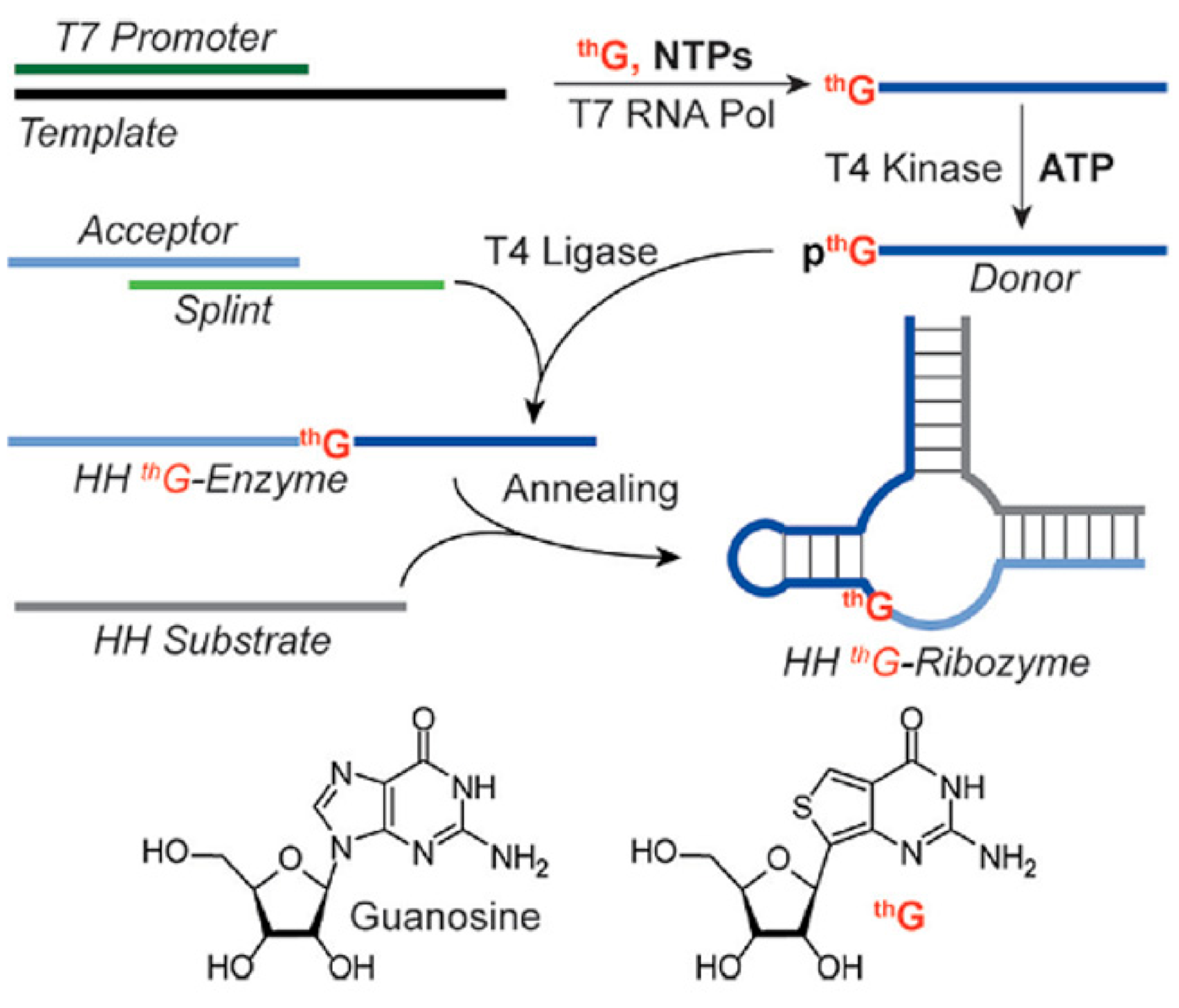 Molecules 26 01341 g008