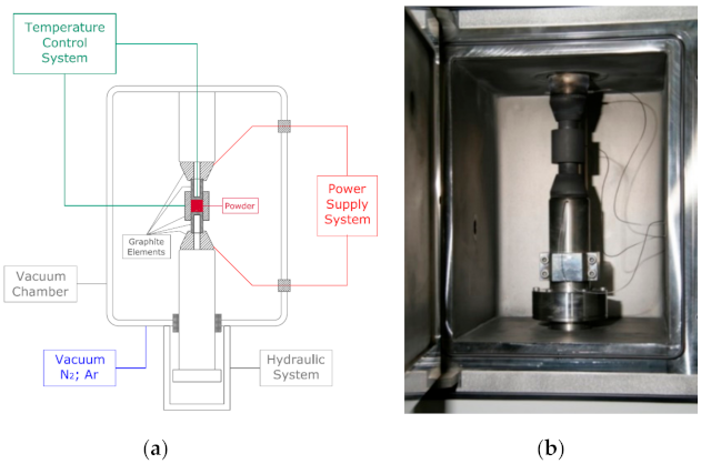 Molecules 26 01344 g001 Molecules 26 01344 g001
