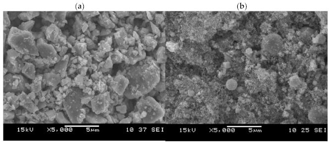 Molecules 26 01344 g002 Molecules 26 01344 g002