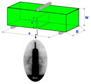 Molecules 26 01344 g004 Molecules 26 01344 g004