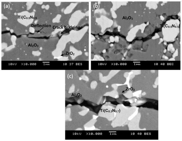 Molecules 26 01344 g007 Molecules 26 01344 g007