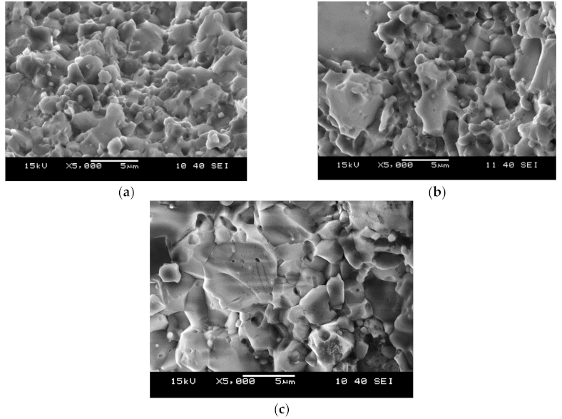 Molecules 26 01344 g008 Molecules 26 01344 g008