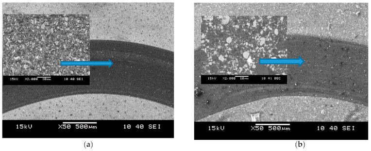 Molecules 26 01344 g011 Molecules 26 01344 g011
