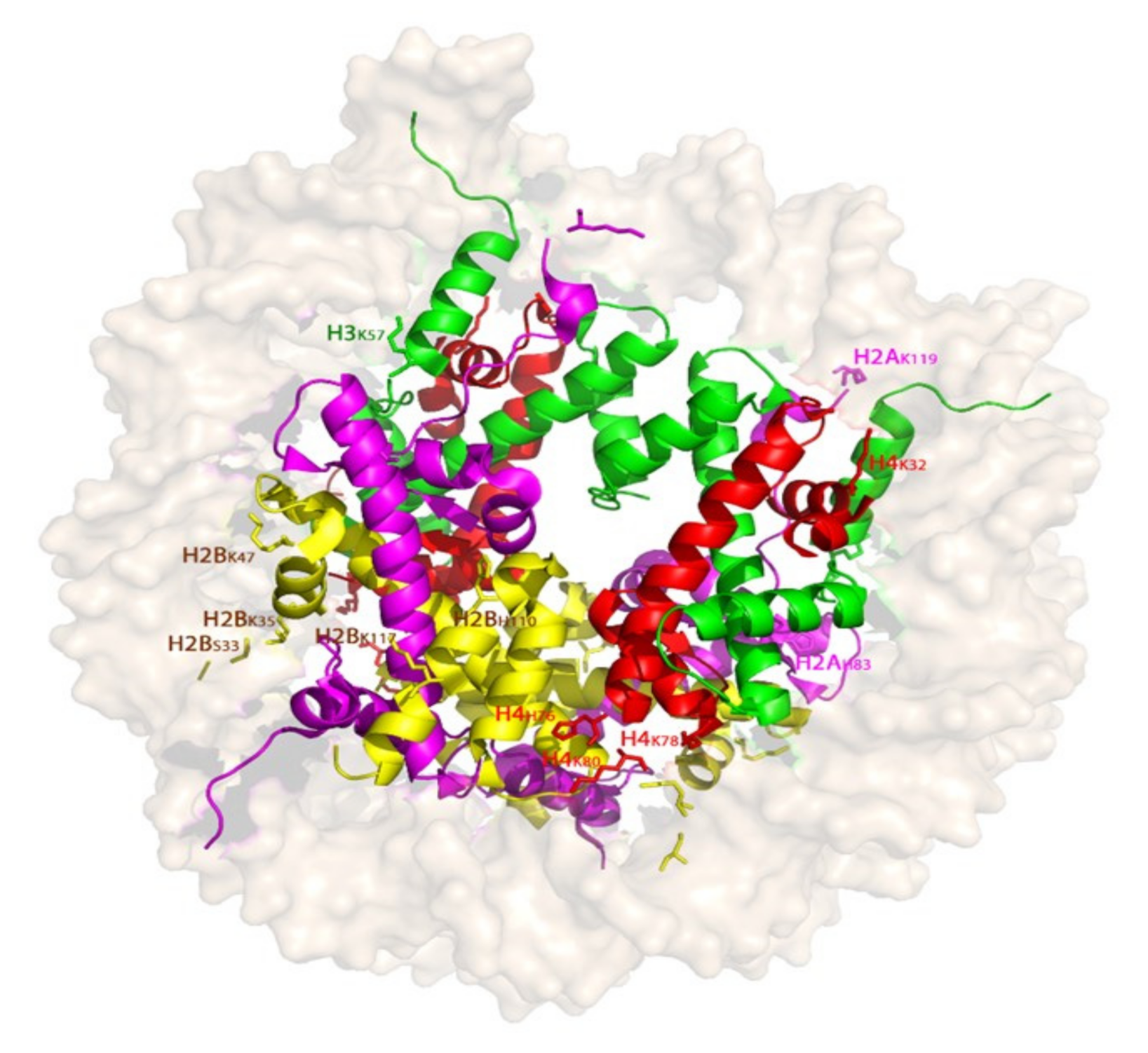 Molecules 26 01349 g004