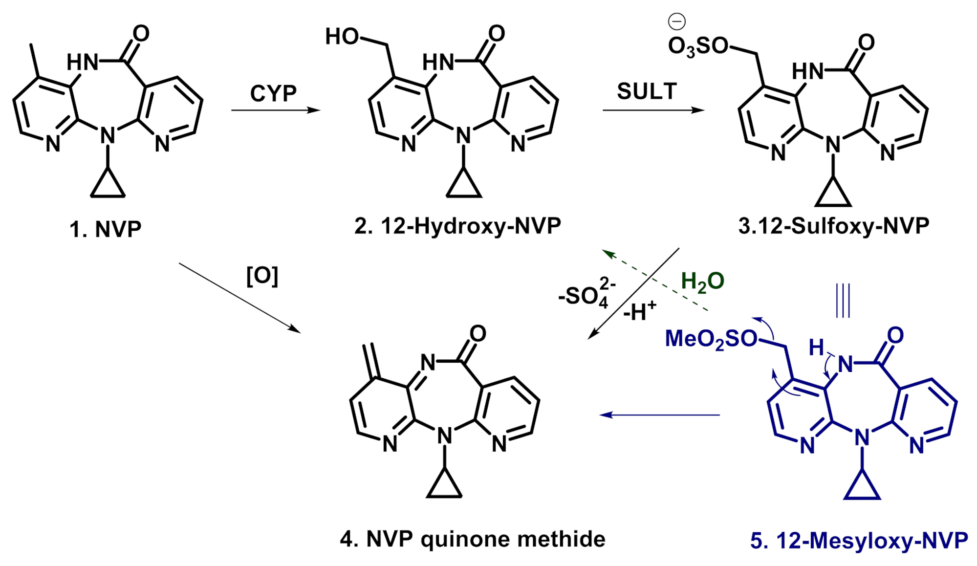 Molecules 26 01349 sch001