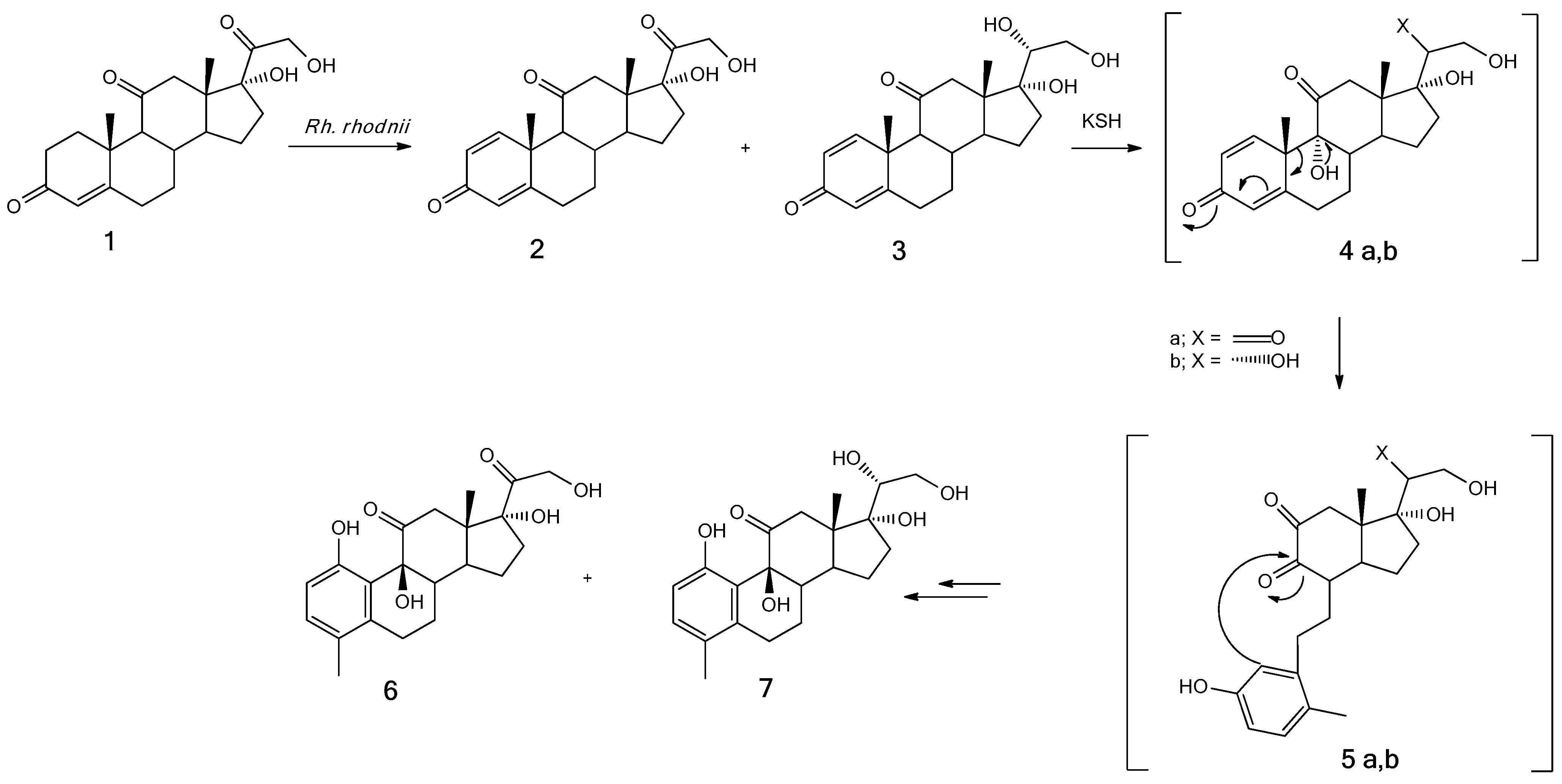 Molecules 26 01352 sch001 Molecules 26 01352 sch001