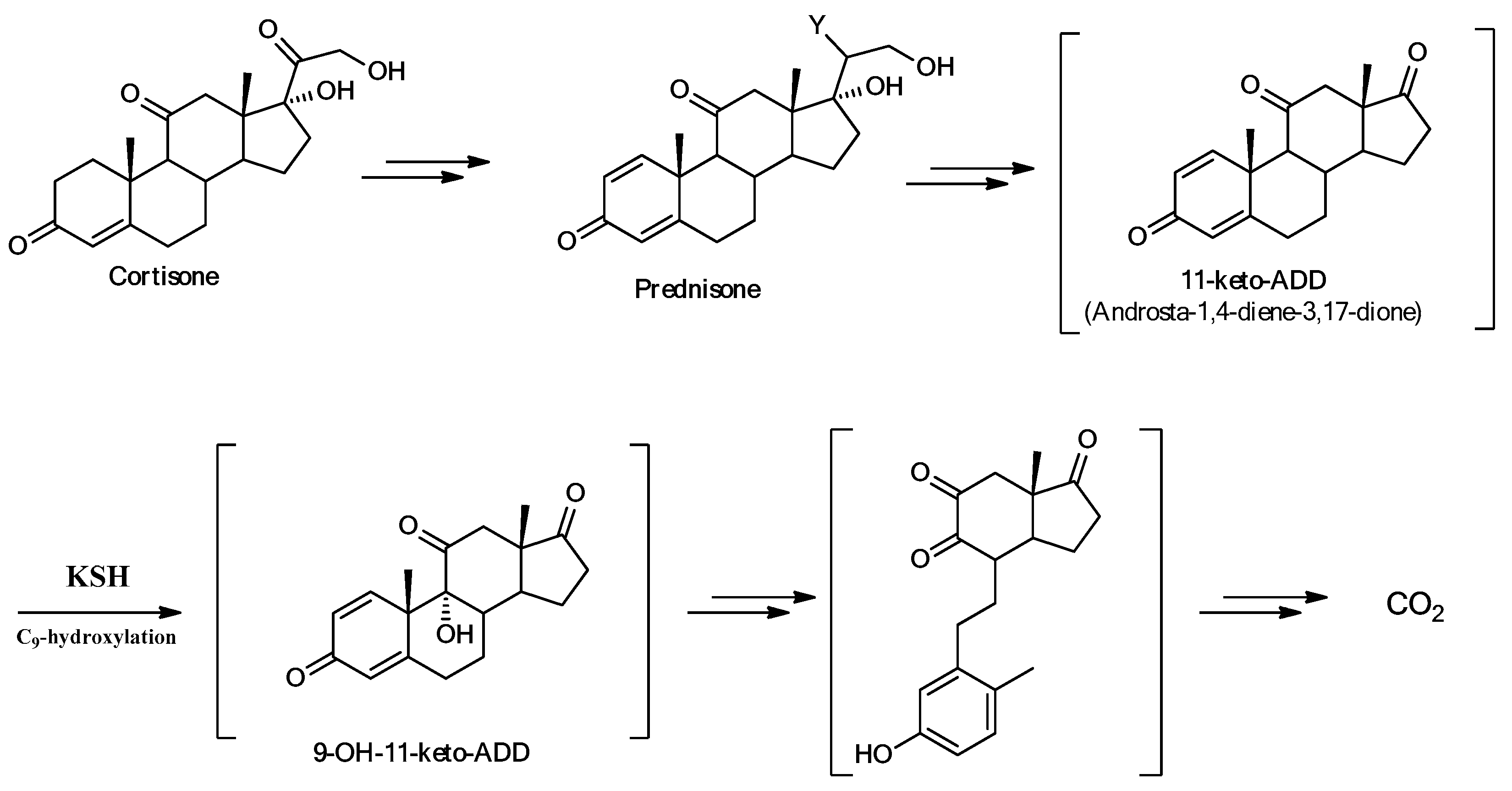 Molecules 26 01352 sch002 Molecules 26 01352 sch002