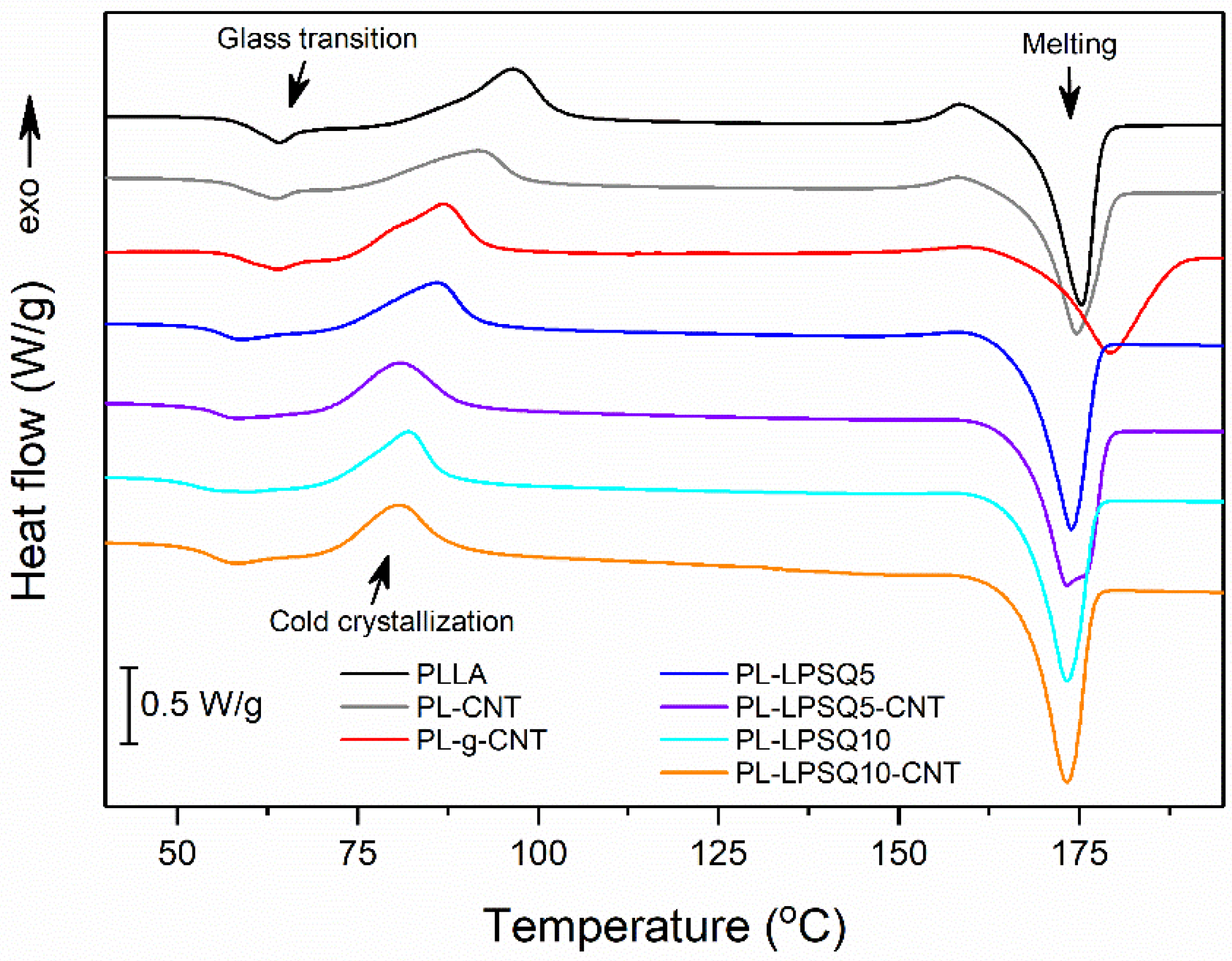 Molecules 26 01353 g003