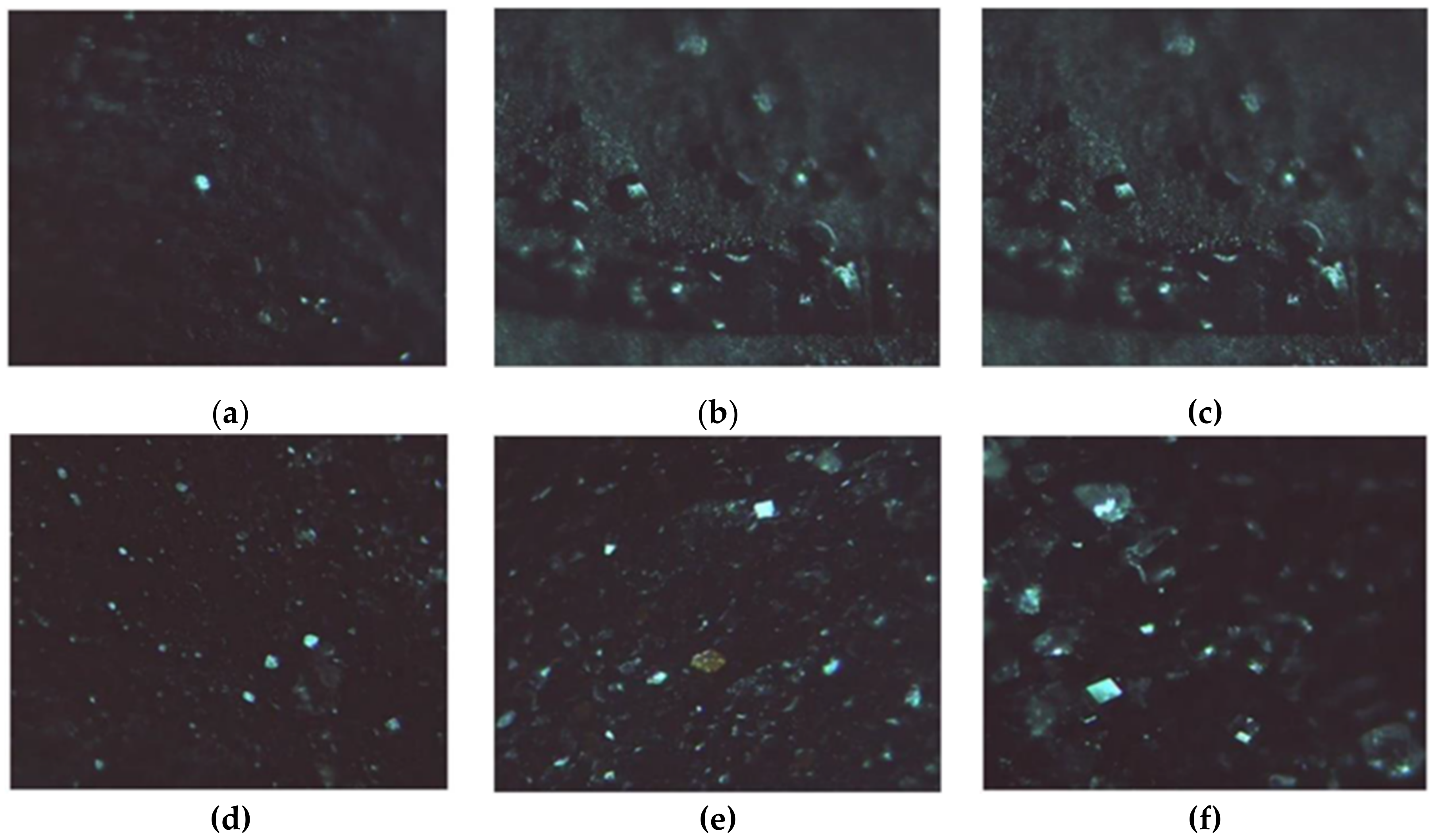 Molecules 26 01355 g009