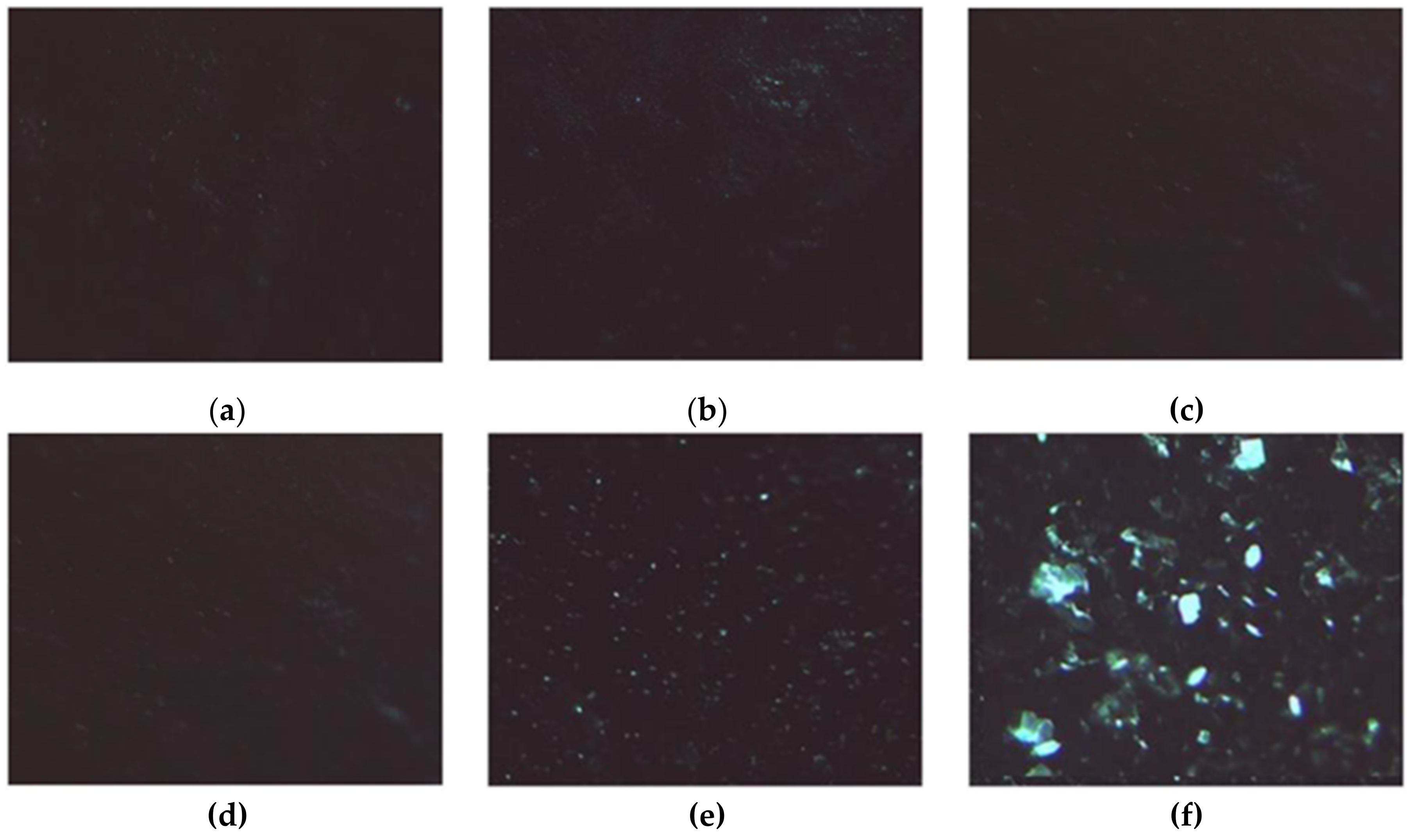 Molecules 26 01355 g010