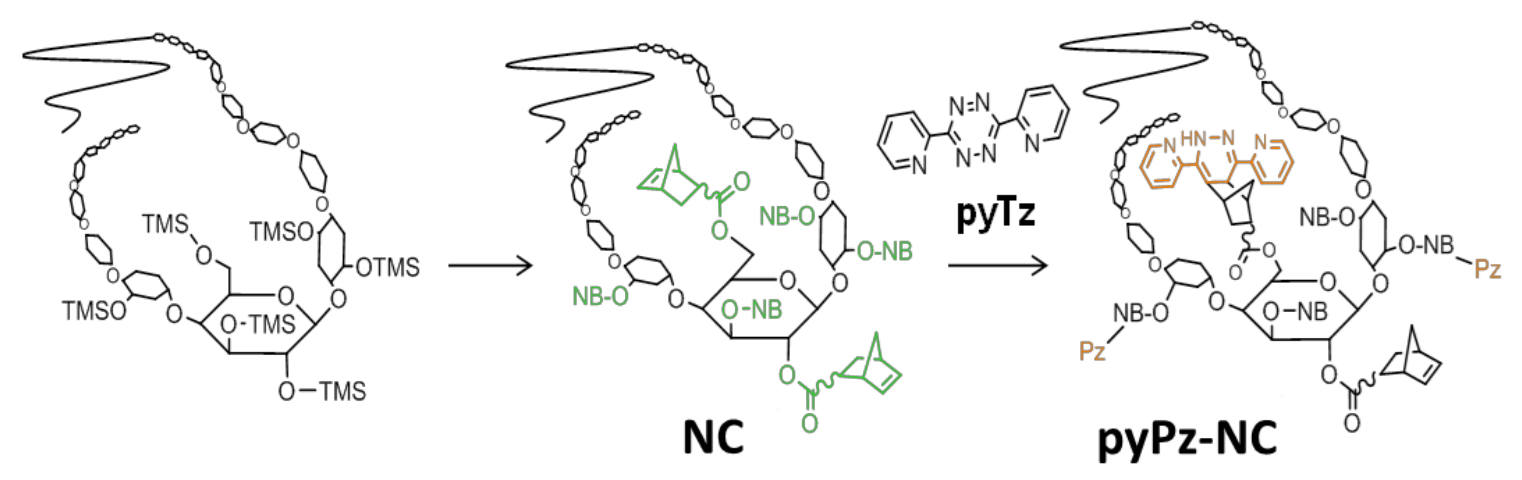 Molecules 26 01358 g001