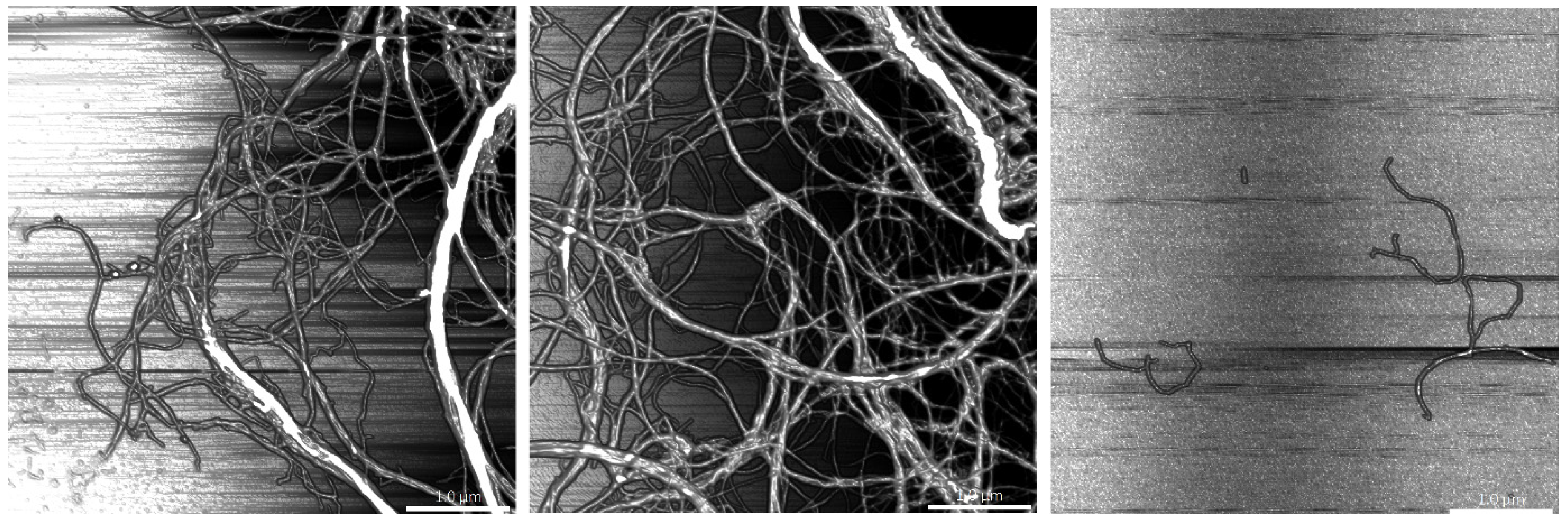 Molecules 26 01371 g003 Molecules 26 01371 g003