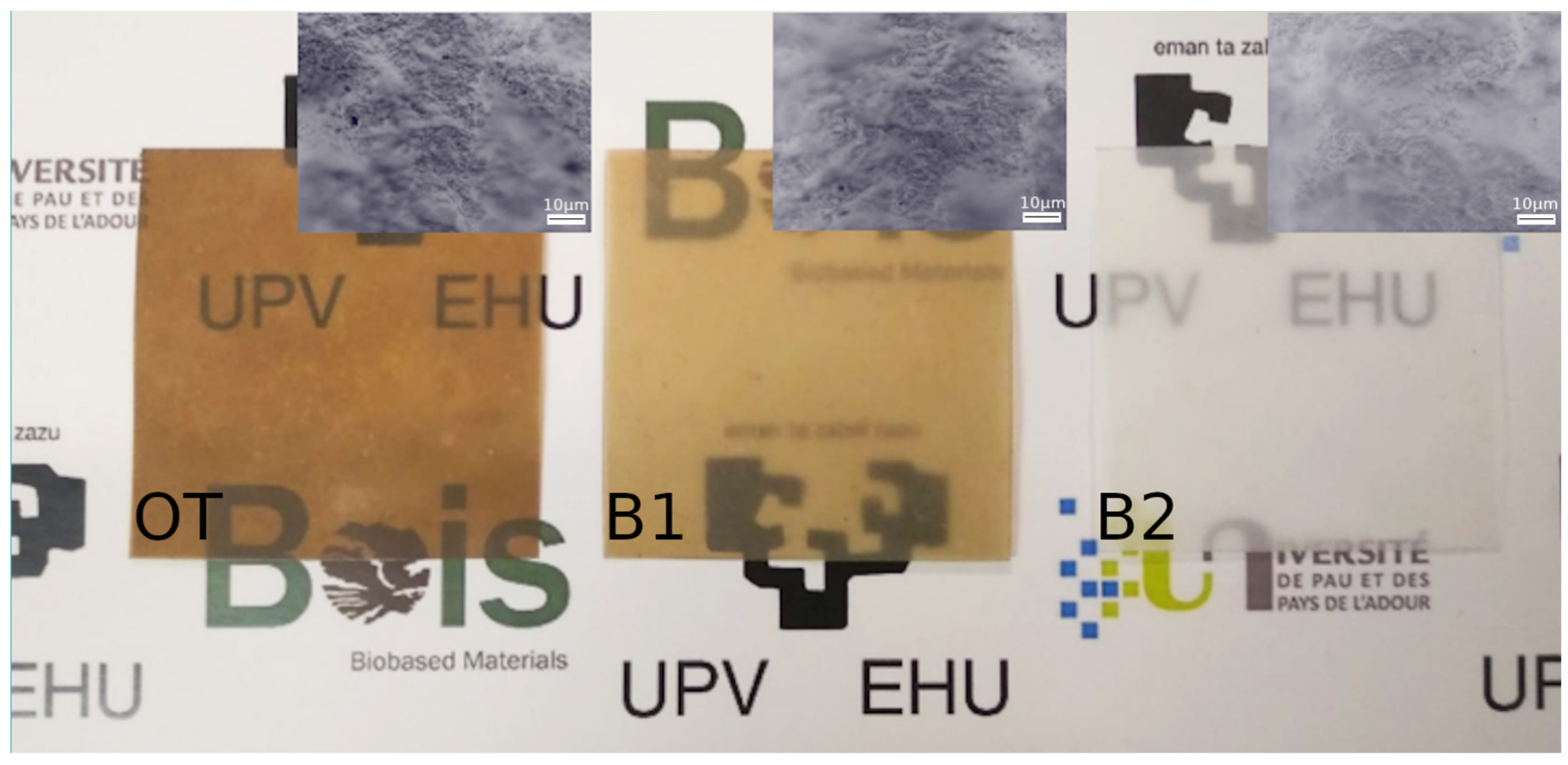 Molecules 26 01371 g005 Molecules 26 01371 g005