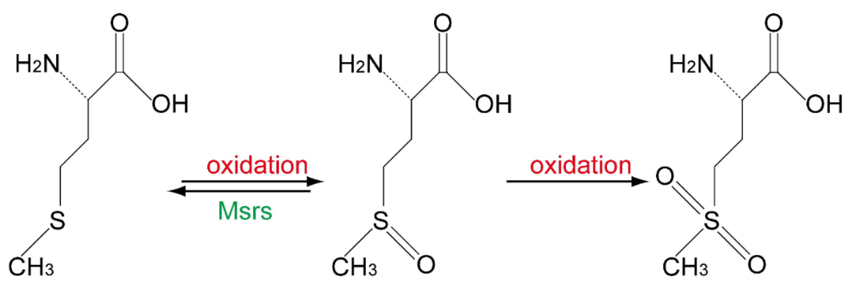 Molecules 26 01372 g001 Molecules 26 01372 g001