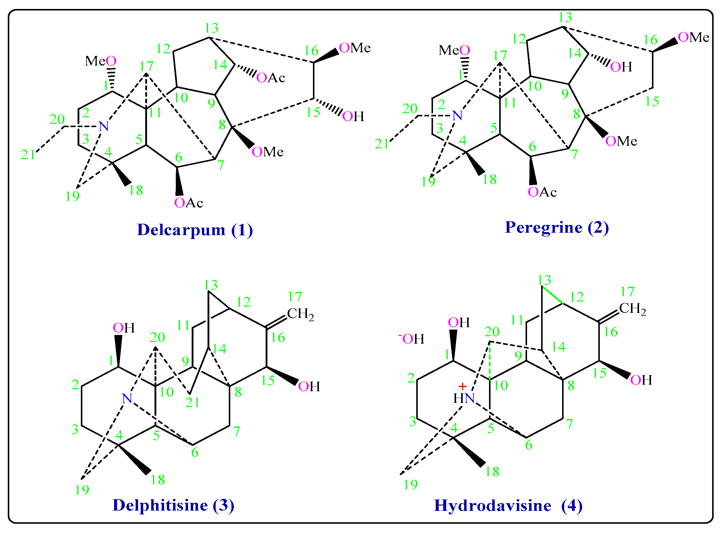 Molecules 26 01375 g001