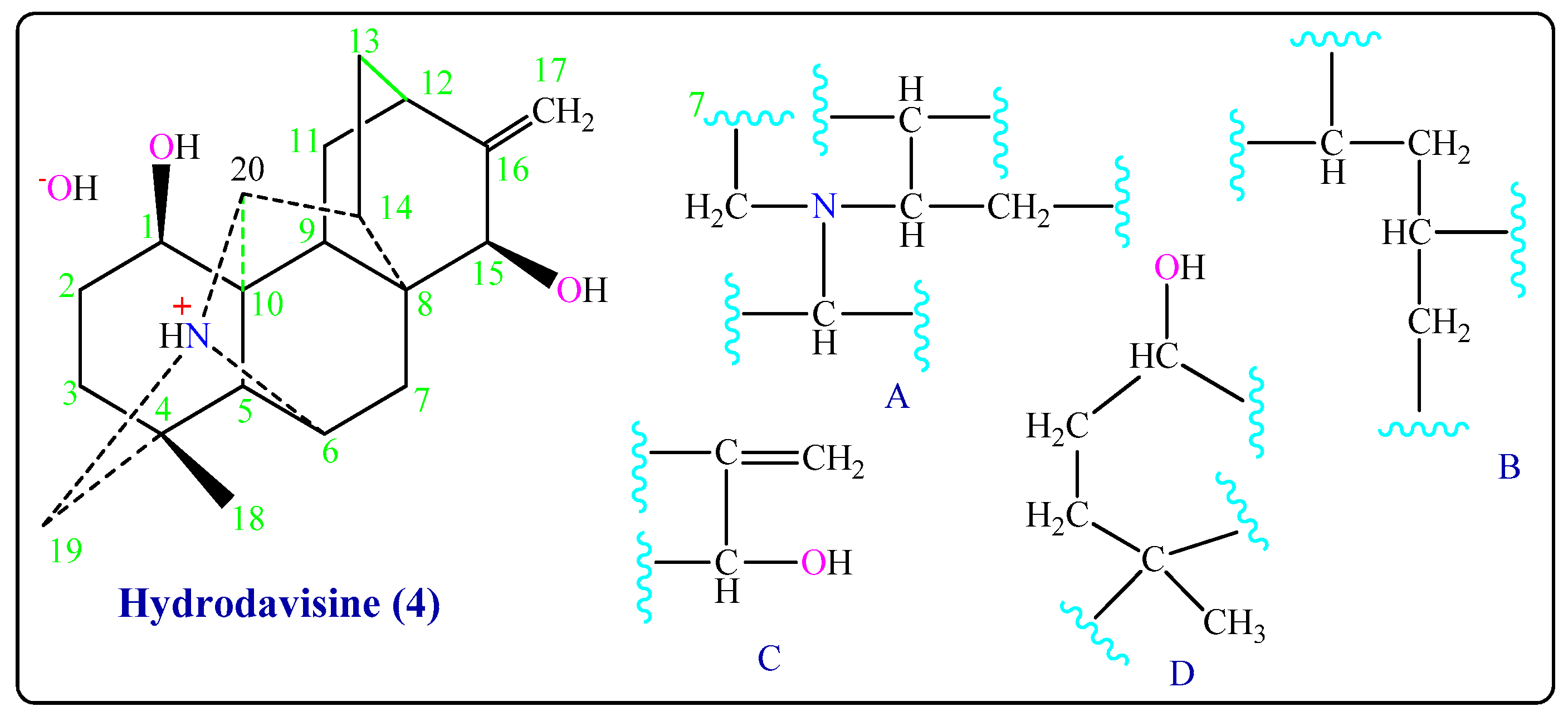 Molecules 26 01375 g004