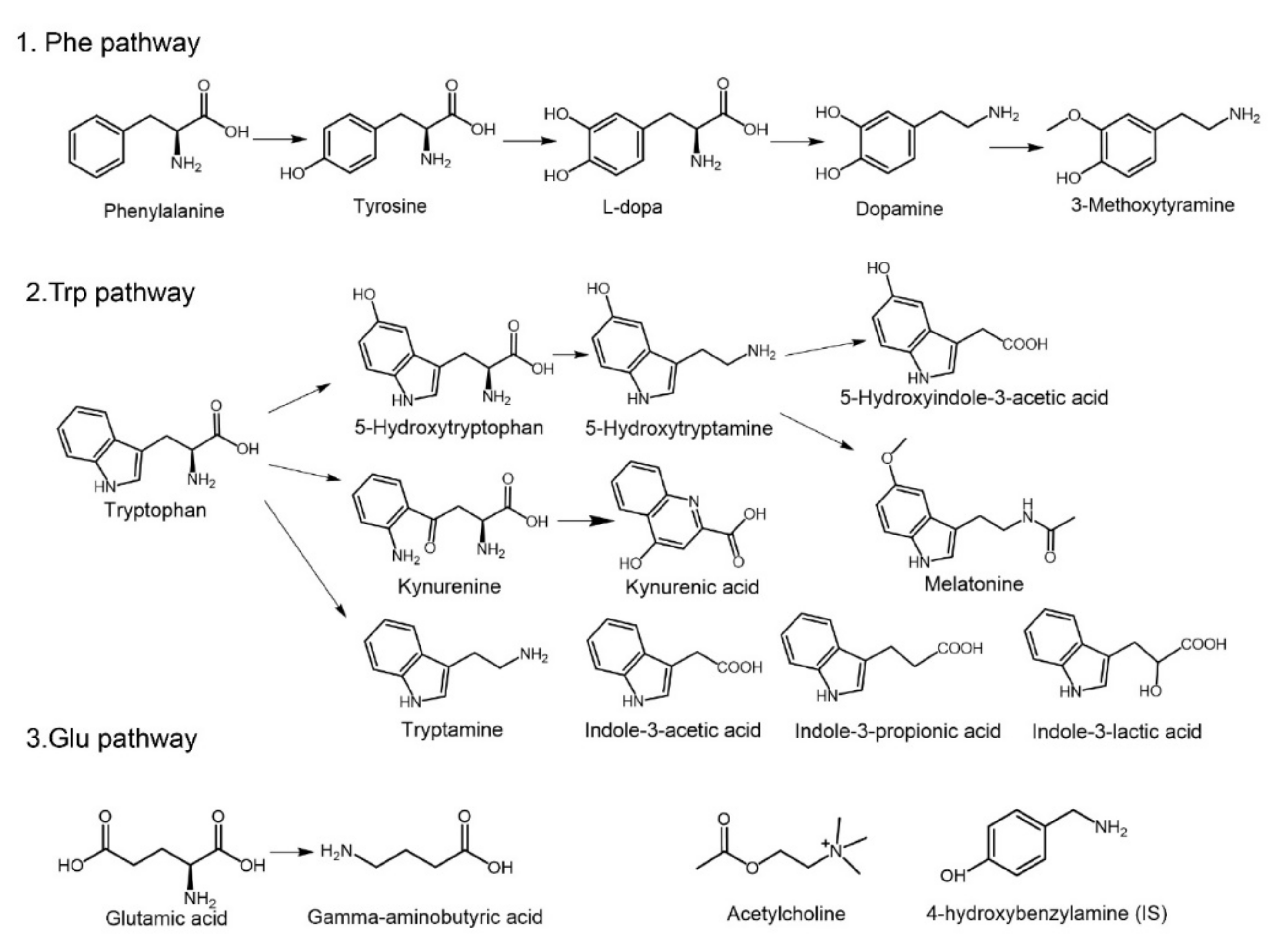 Molecules 26 01377 g001 Molecules 26 01377 g001