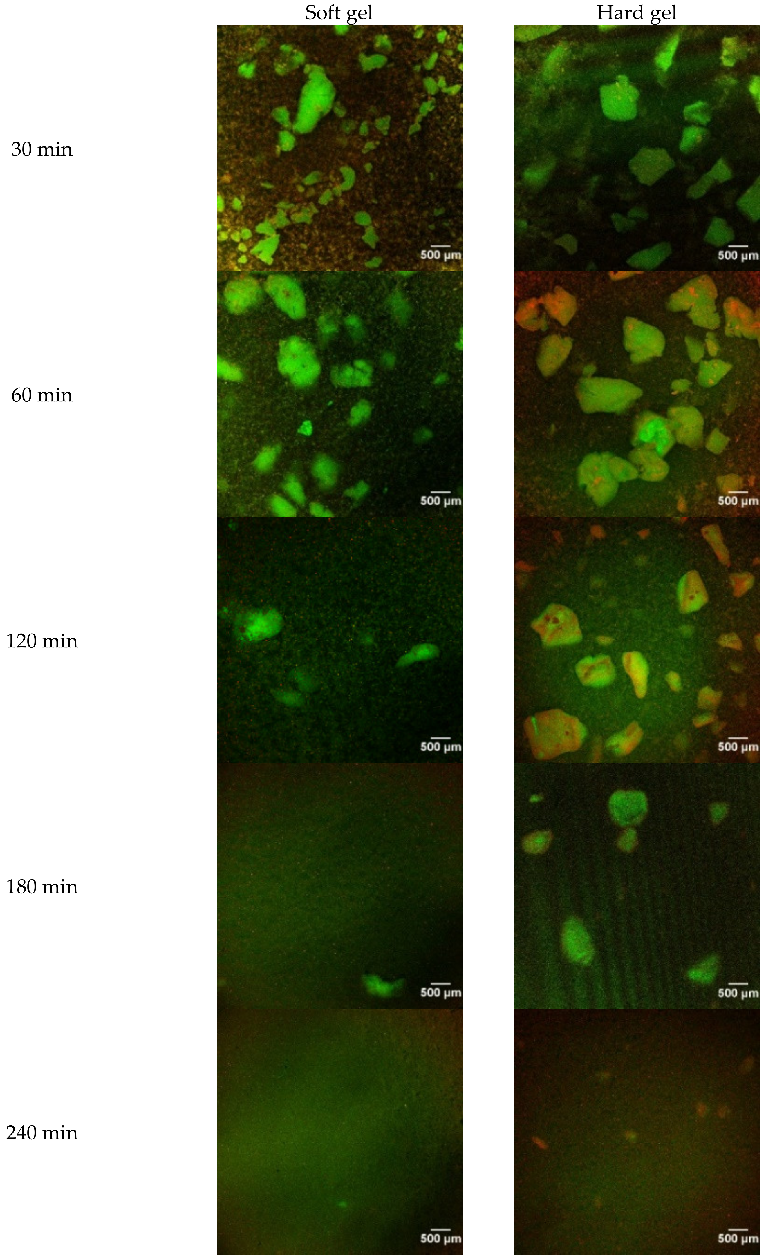 Molecules 26 01379 g002