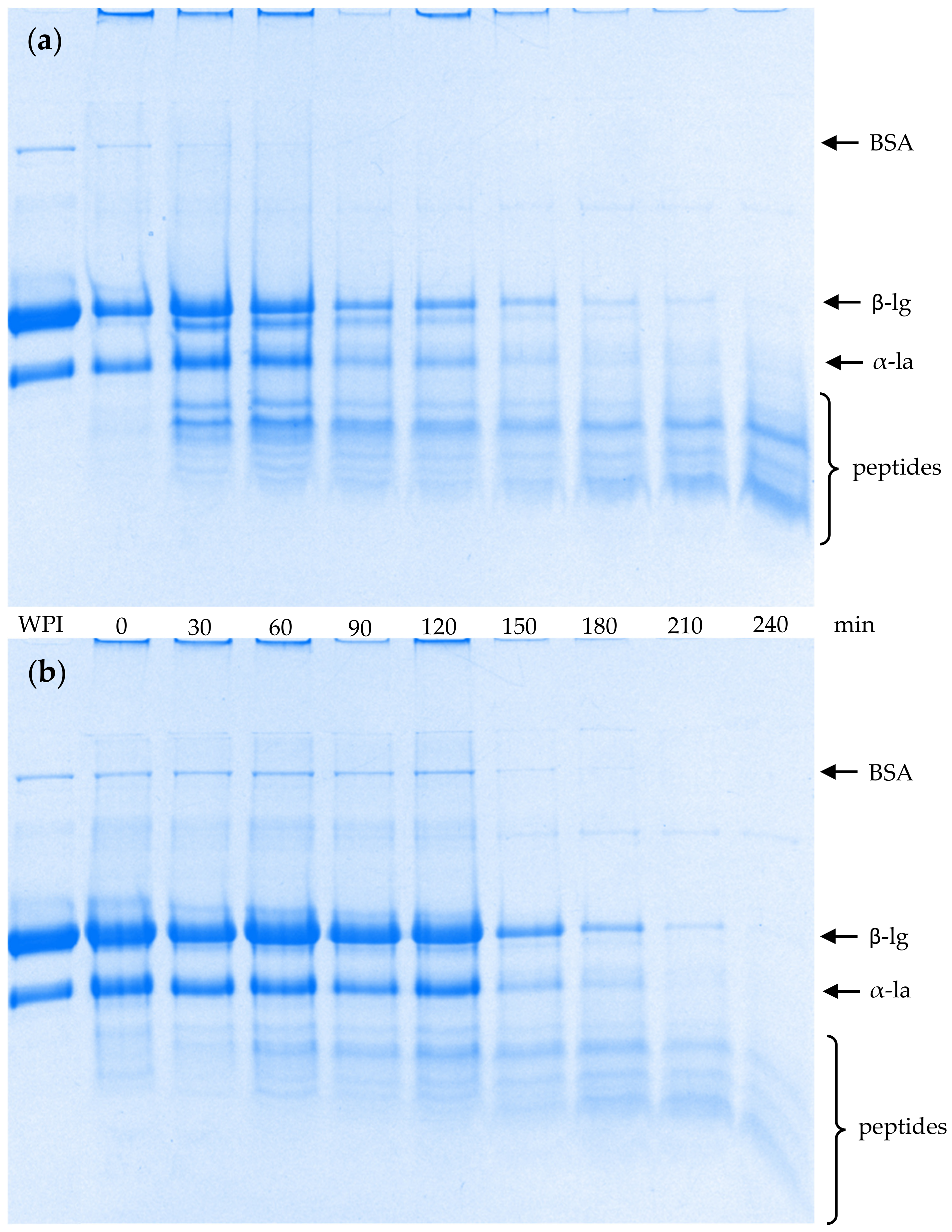 Molecules 26 01379 g003