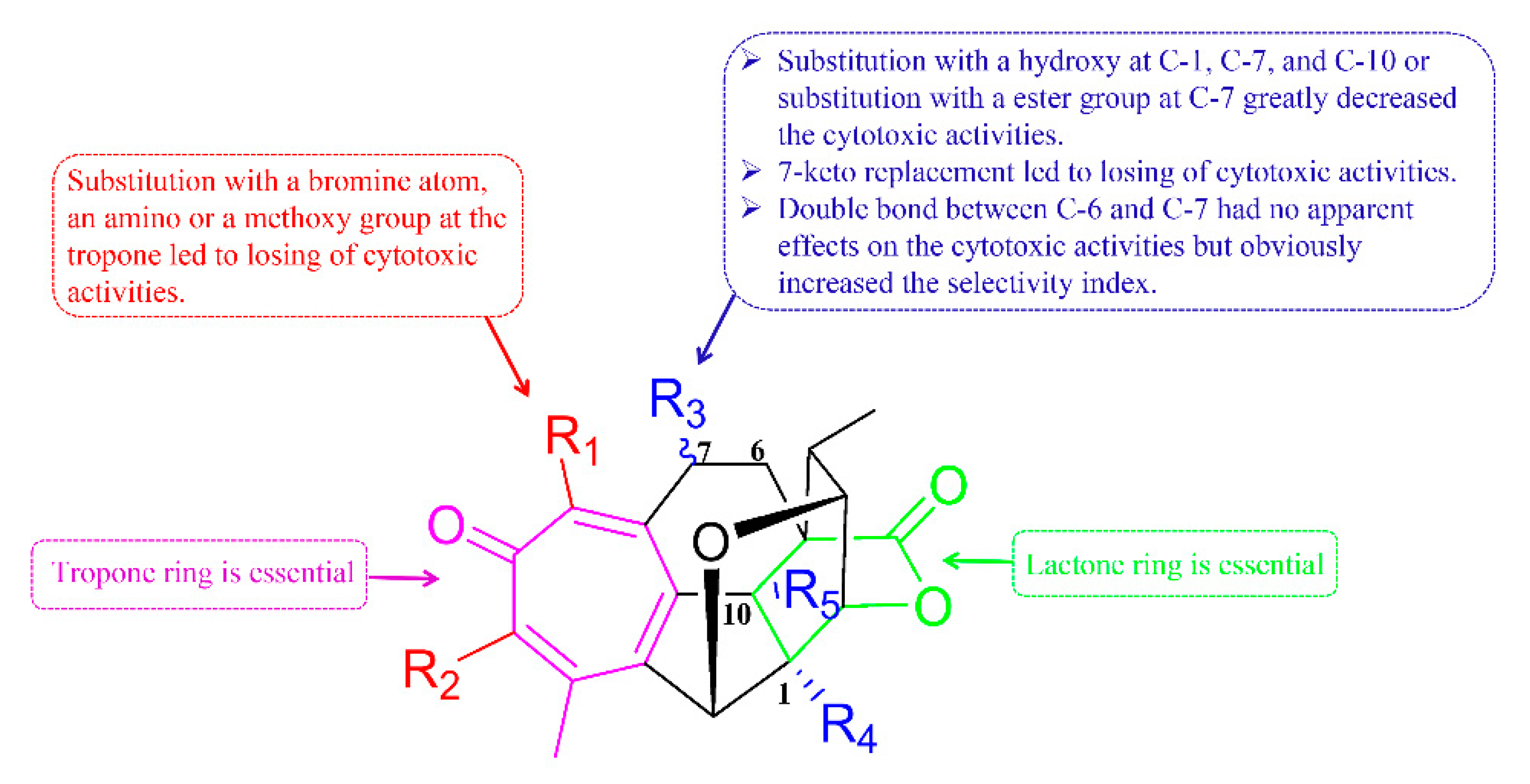 Molecules 26 01380 g002