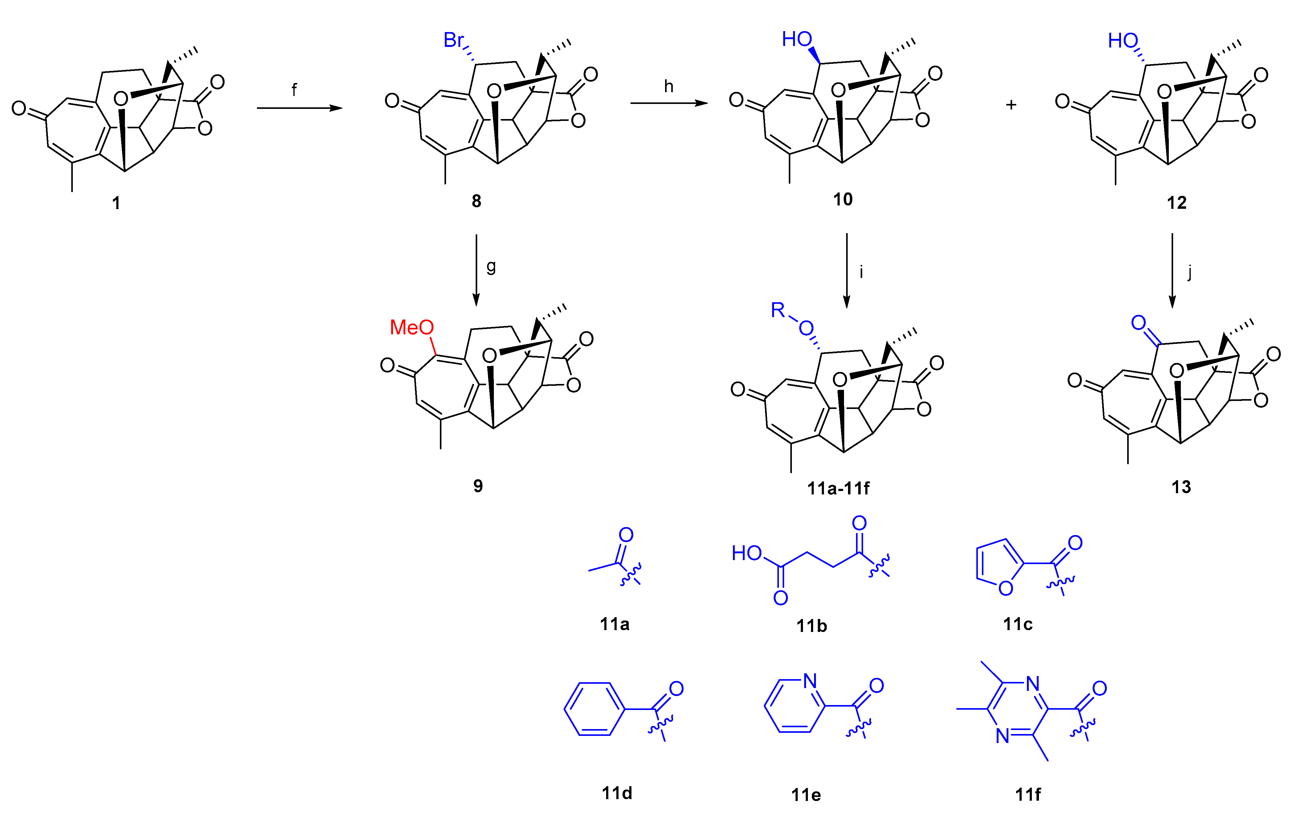Molecules 26 01380 sch004