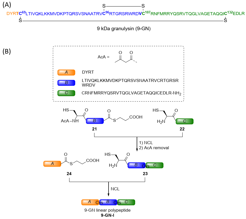 Molecules 26 01386 g006