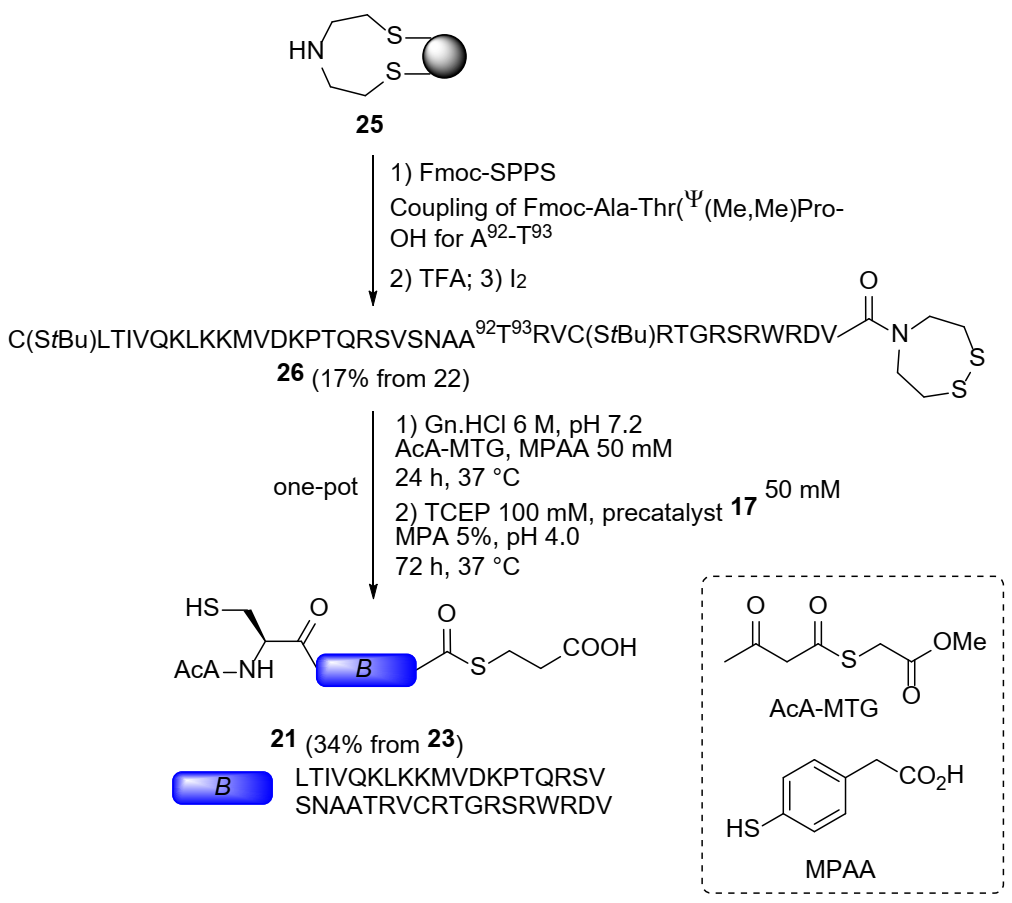 Molecules 26 01386 g007