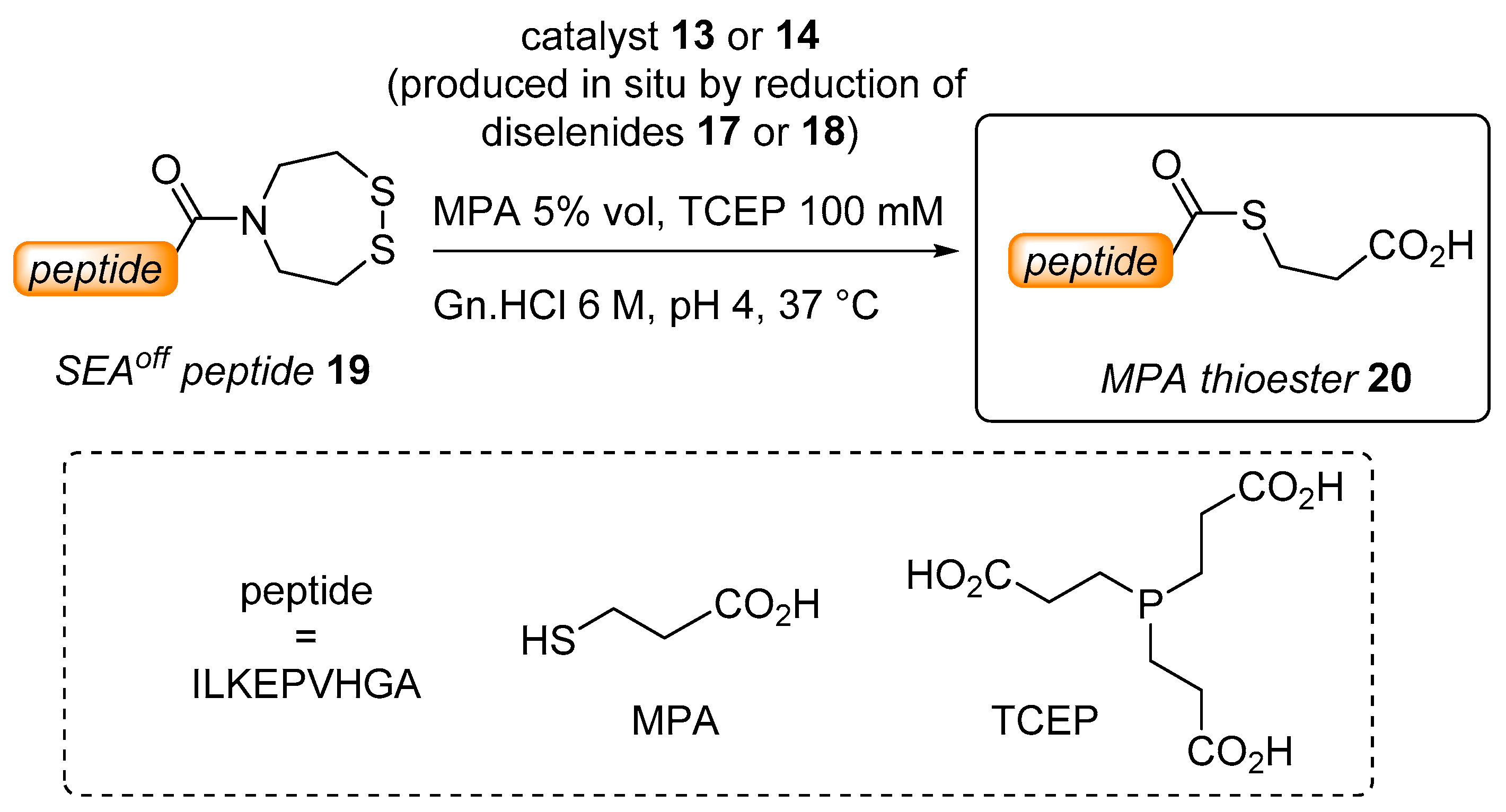 Molecules 26 01386 sch002