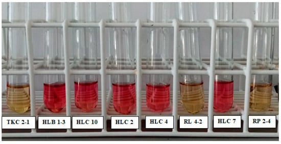 Molecules 26 01394 g0a1b